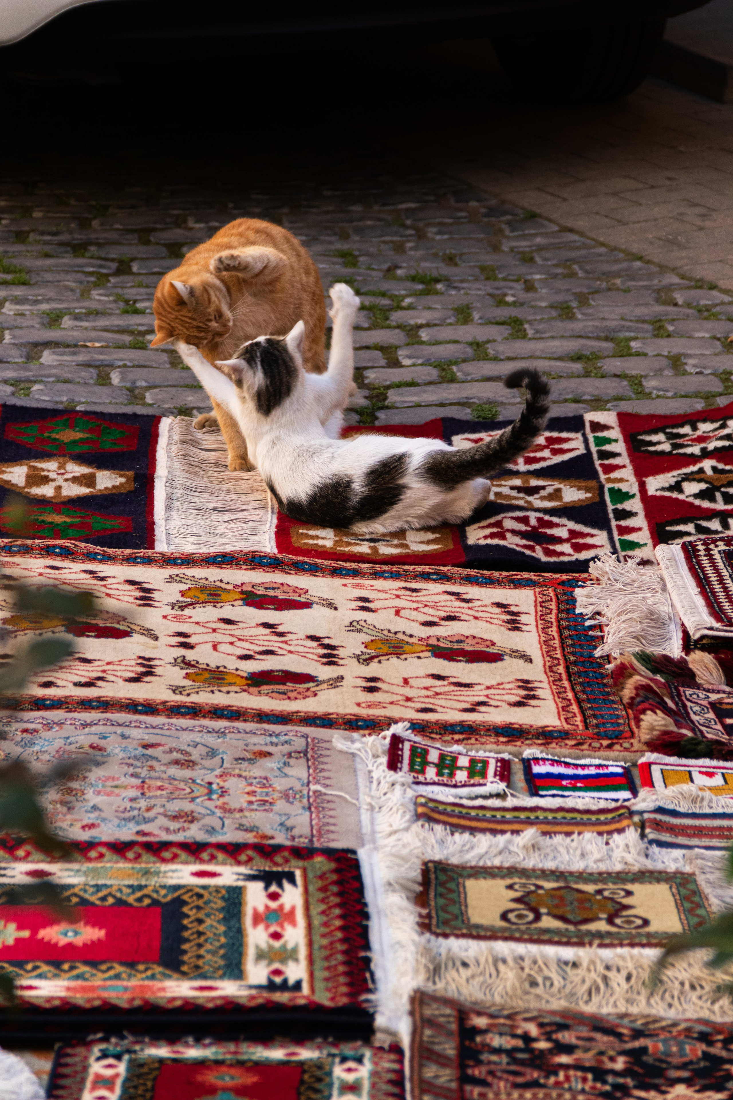 Баку. Наталия Фролова. Фотограф. Москва