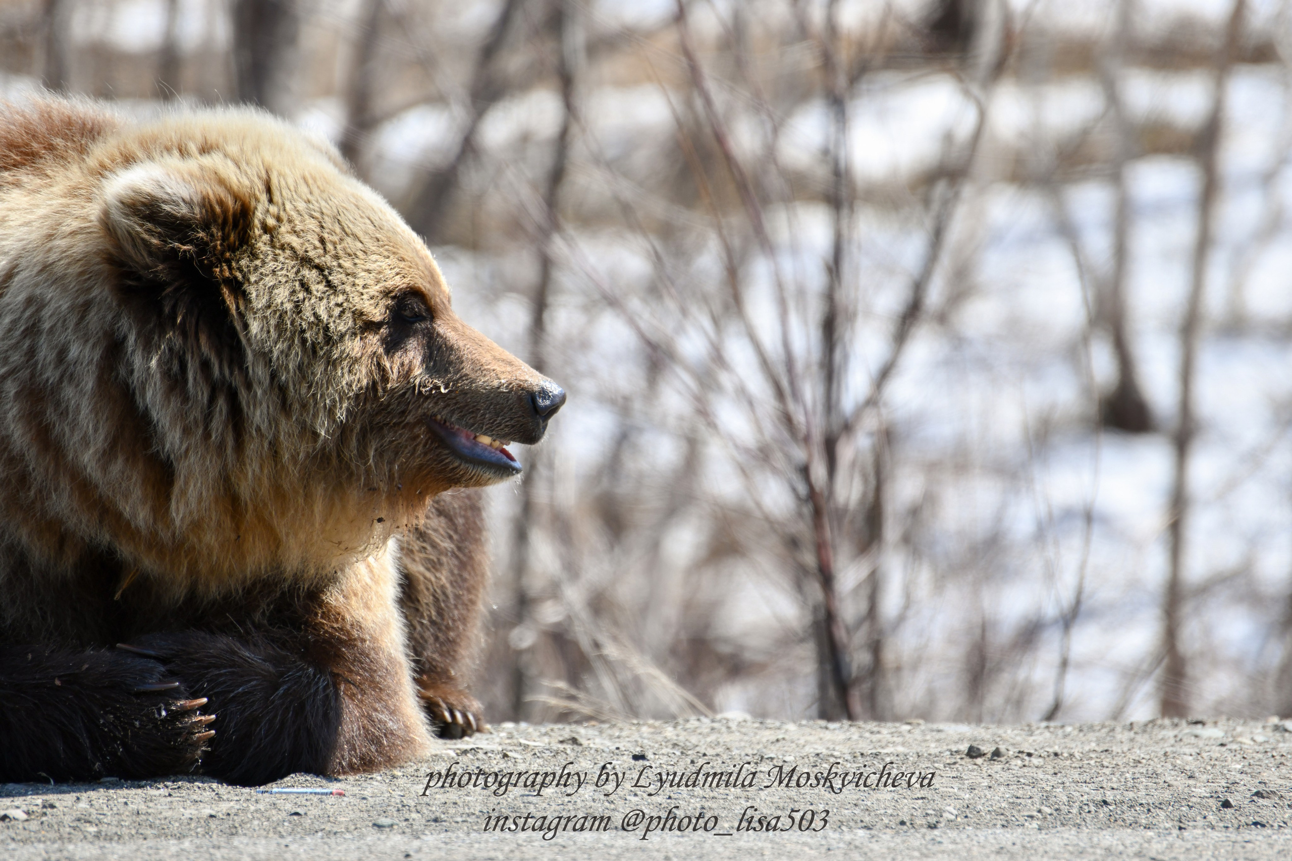 Природа. Людмила Москвичёва — Фотограф на все случаи жизни.Камчатка/Владивосток