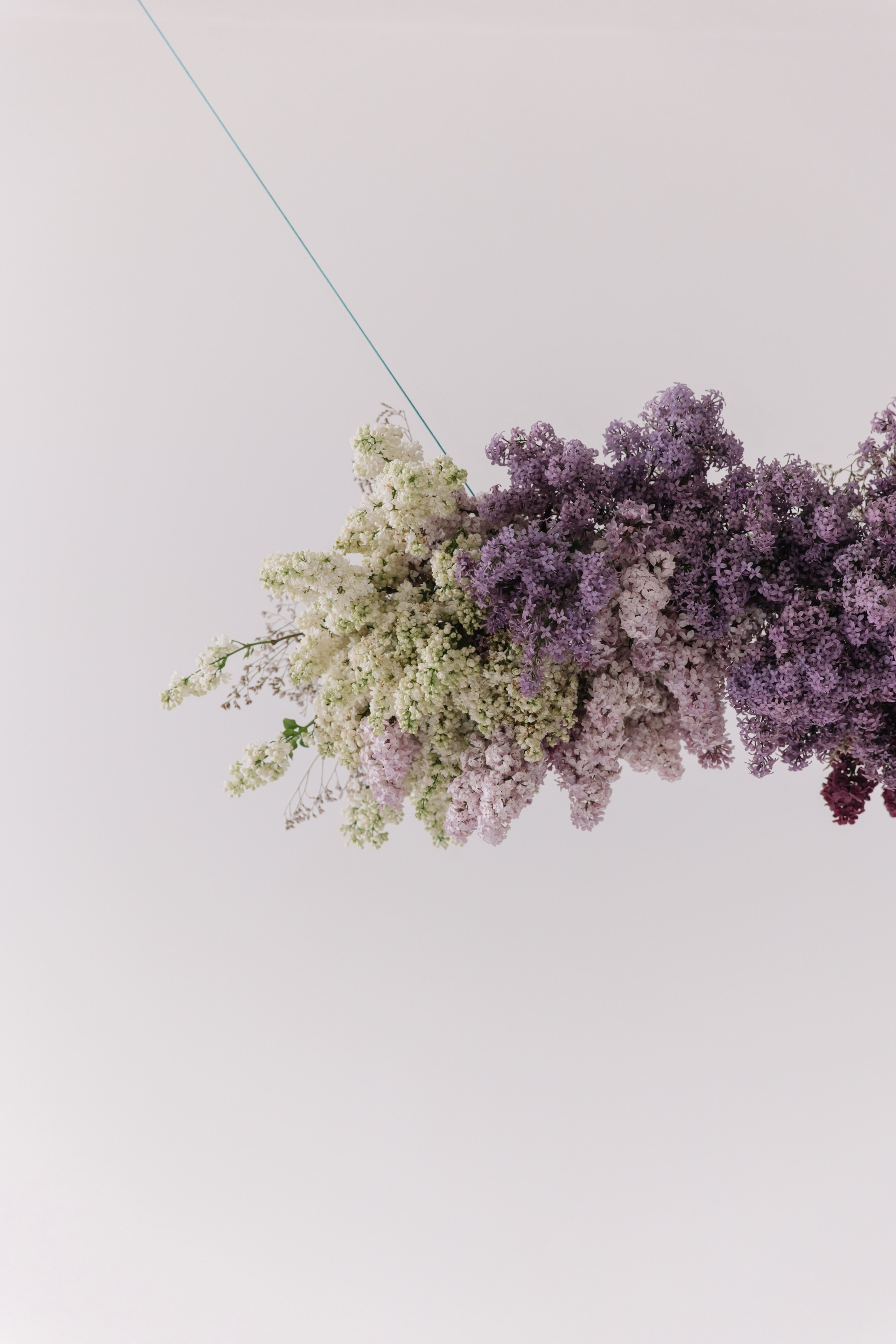 Свадебная фотосессия в Краснодаре. Свадебный фотограф в Москве и Краснодаре Анастасия Прудко