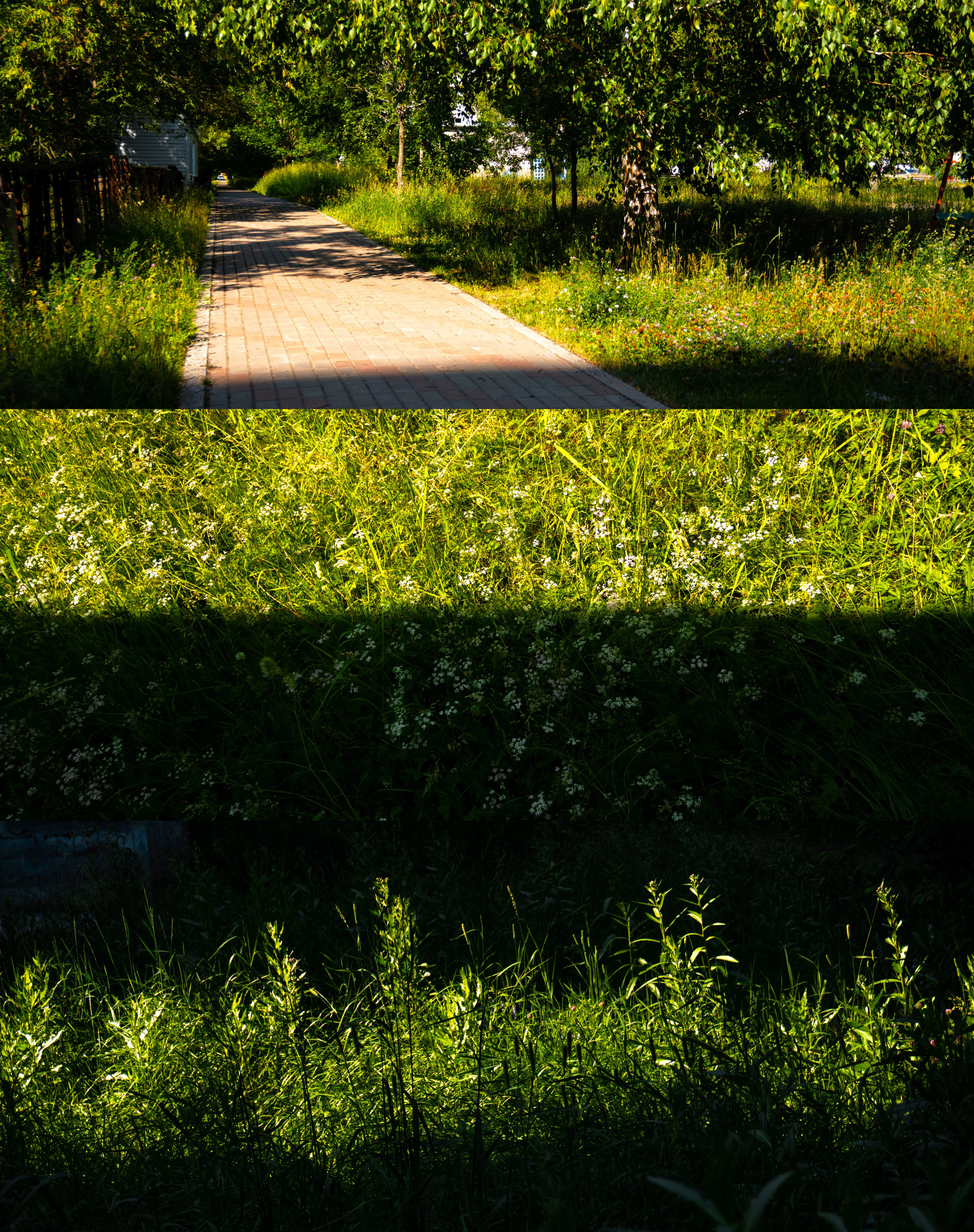 25.06.2025 | Сосновоборск. Kuznetsov | Фотограф в Красноярске