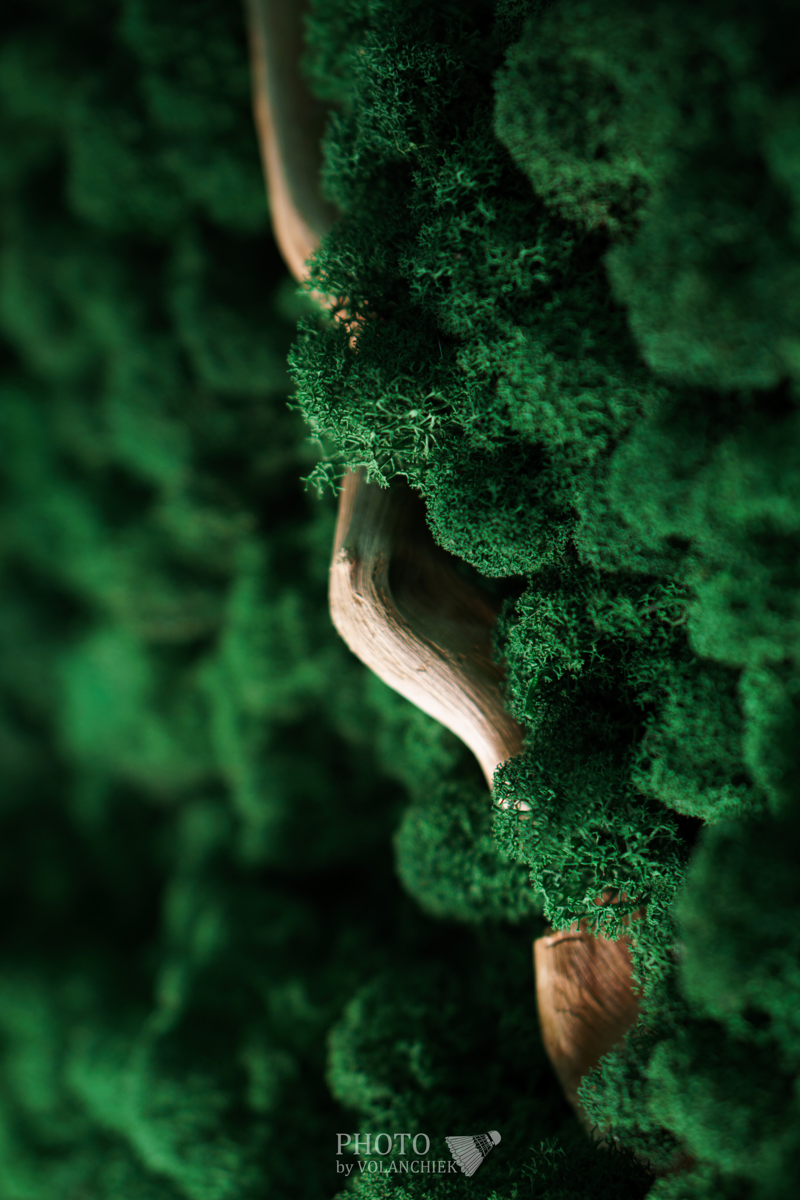 Предметная фотосессия. Photo by Volanchiek