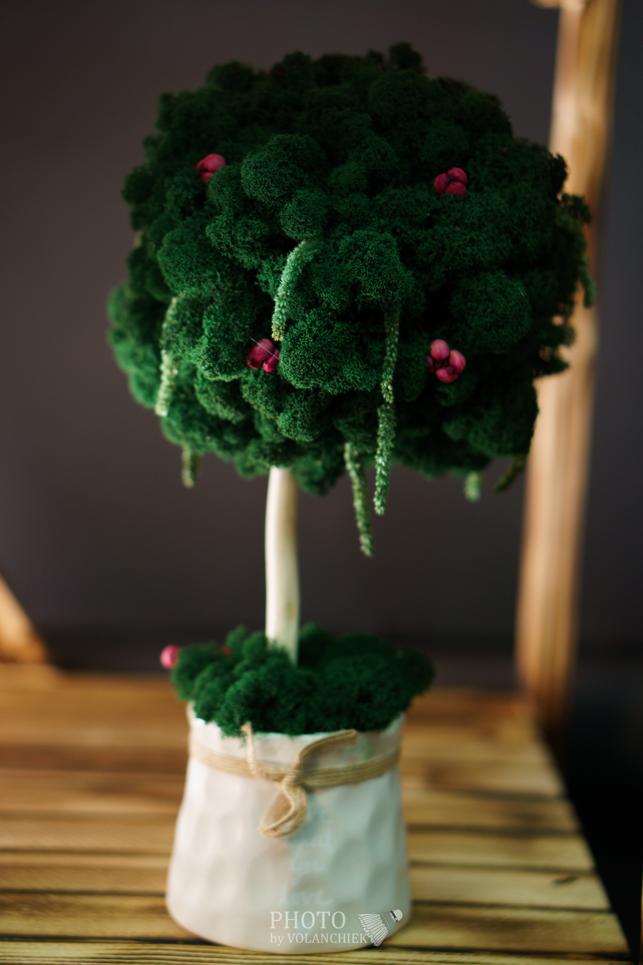 Предметная фотосессия. Photo by Volanchiek