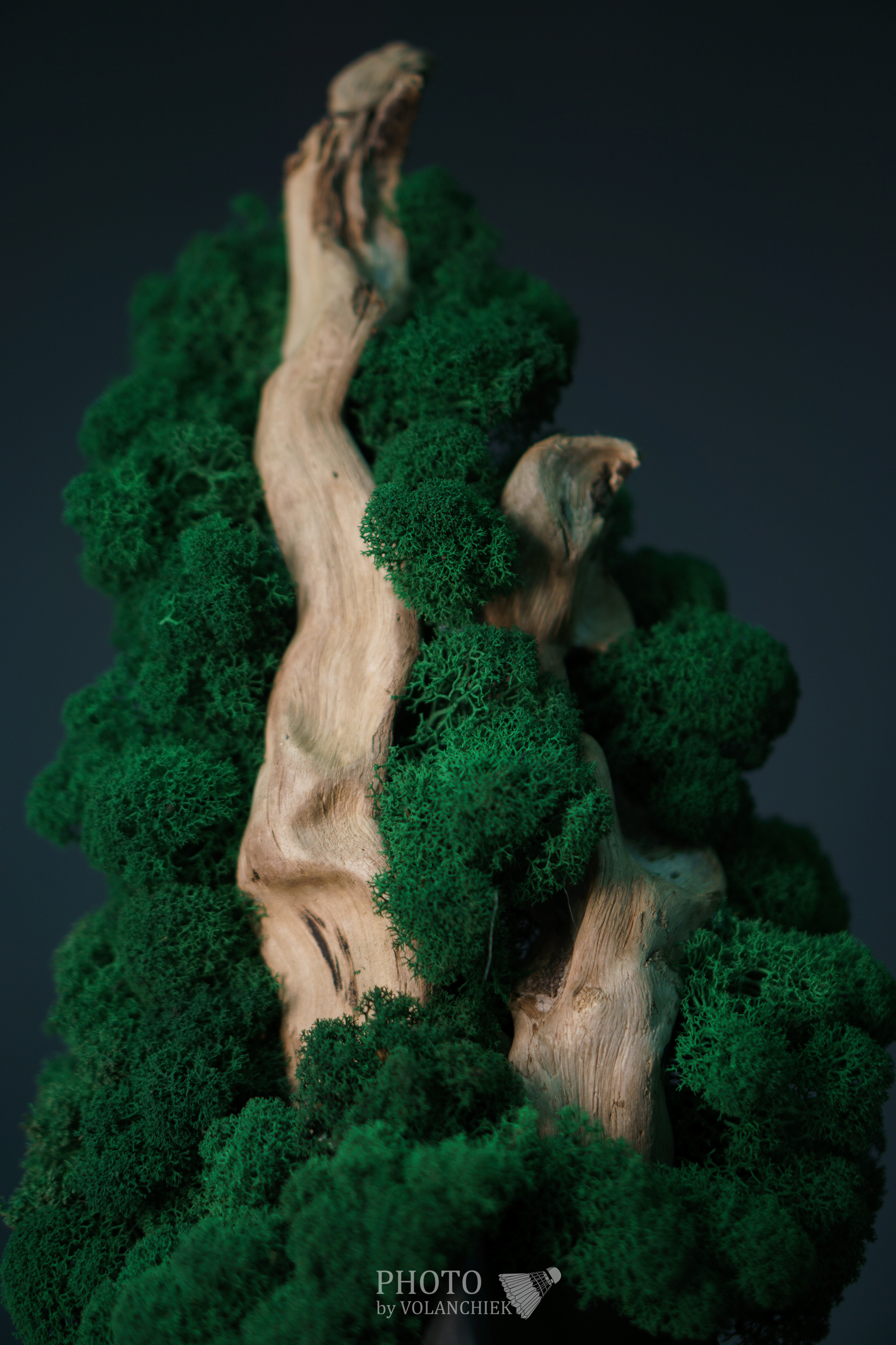 Предметная фотосессия. Photo by Volanchiek