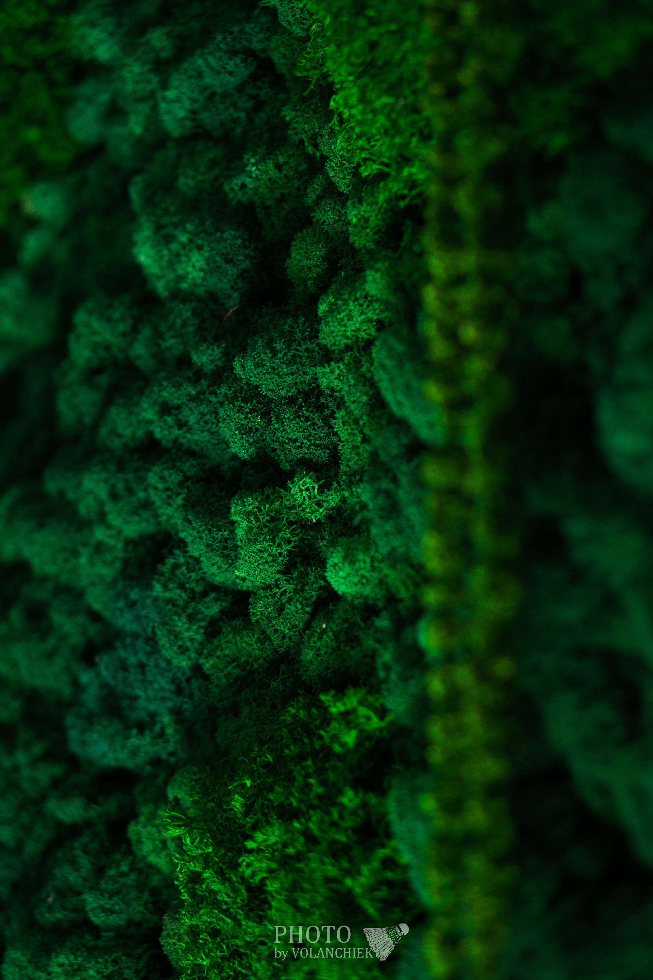 Предметная фотосессия. Photo by Volanchiek