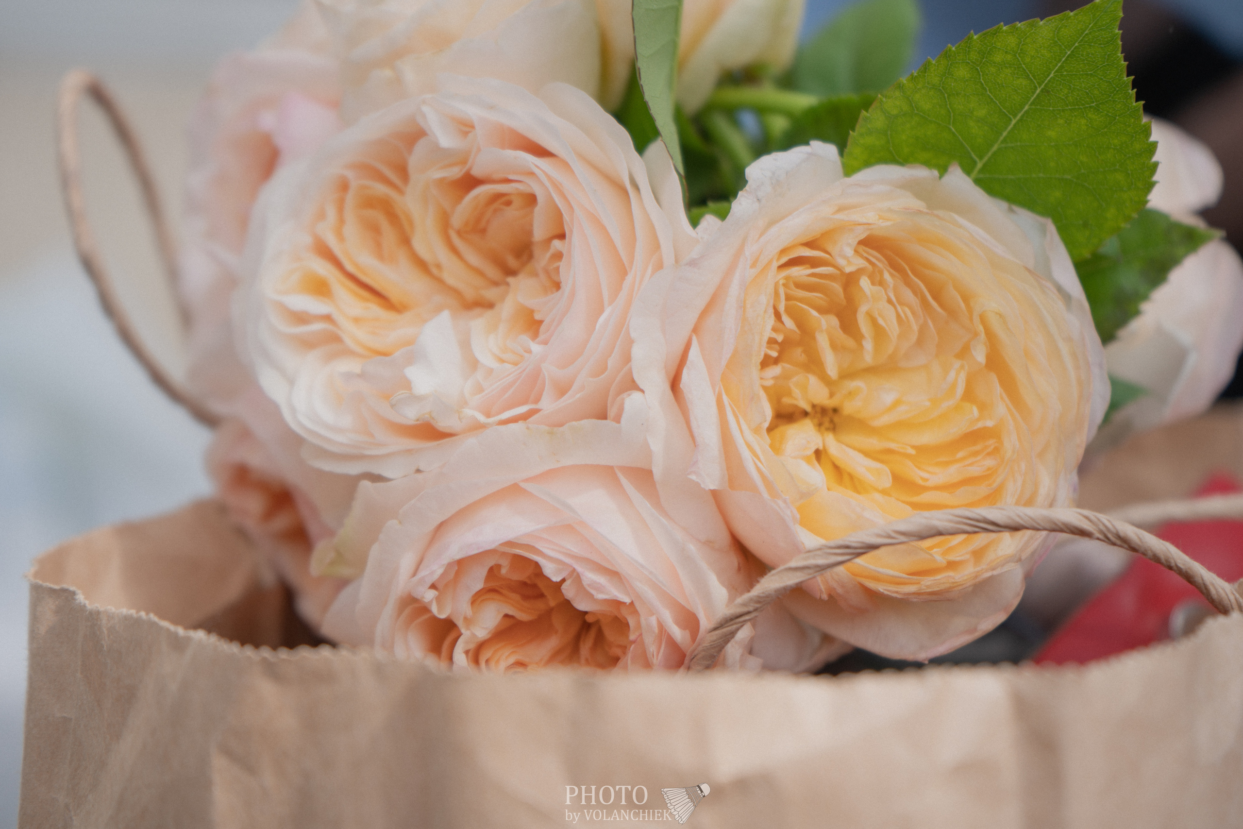 Свадебная фотосессия. Photo by Volanchiek