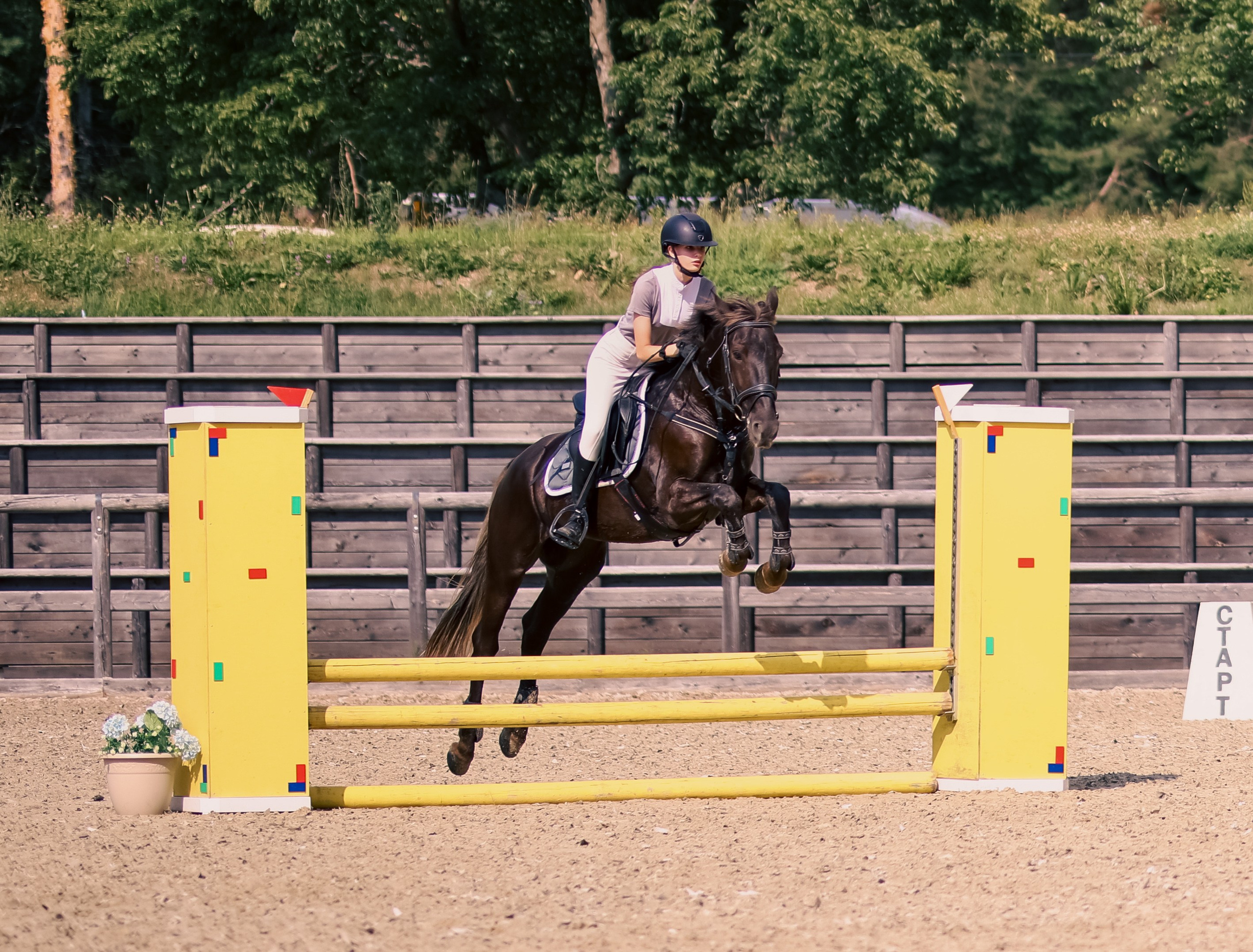 Соревнования по конному спорту. Фотограф репортажей и стритфотосессий в Москве Людмила Смирнова