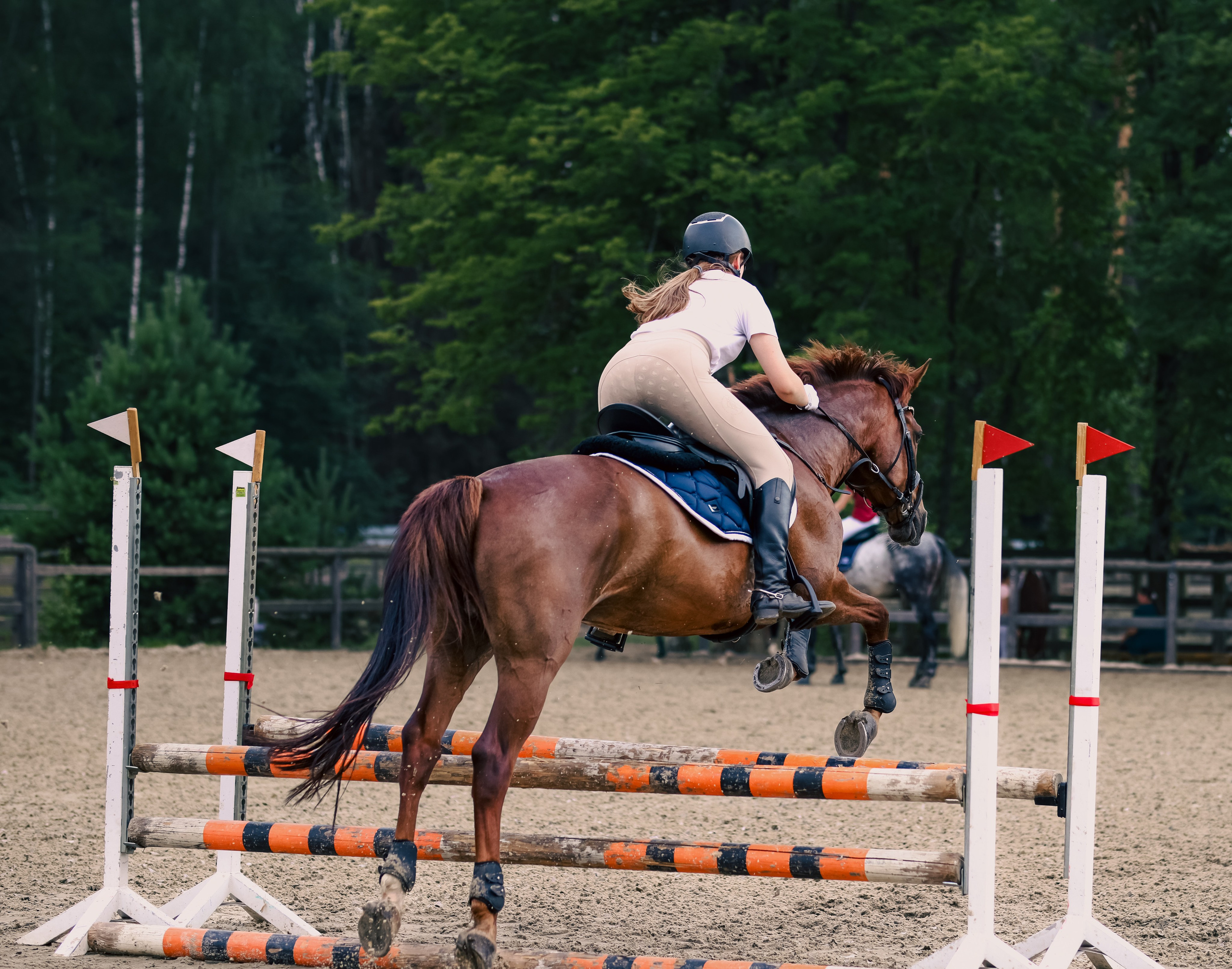 Соревнования по конному спорту. Фотограф репортажей и стритфотосессий в Москве Людмила Смирнова