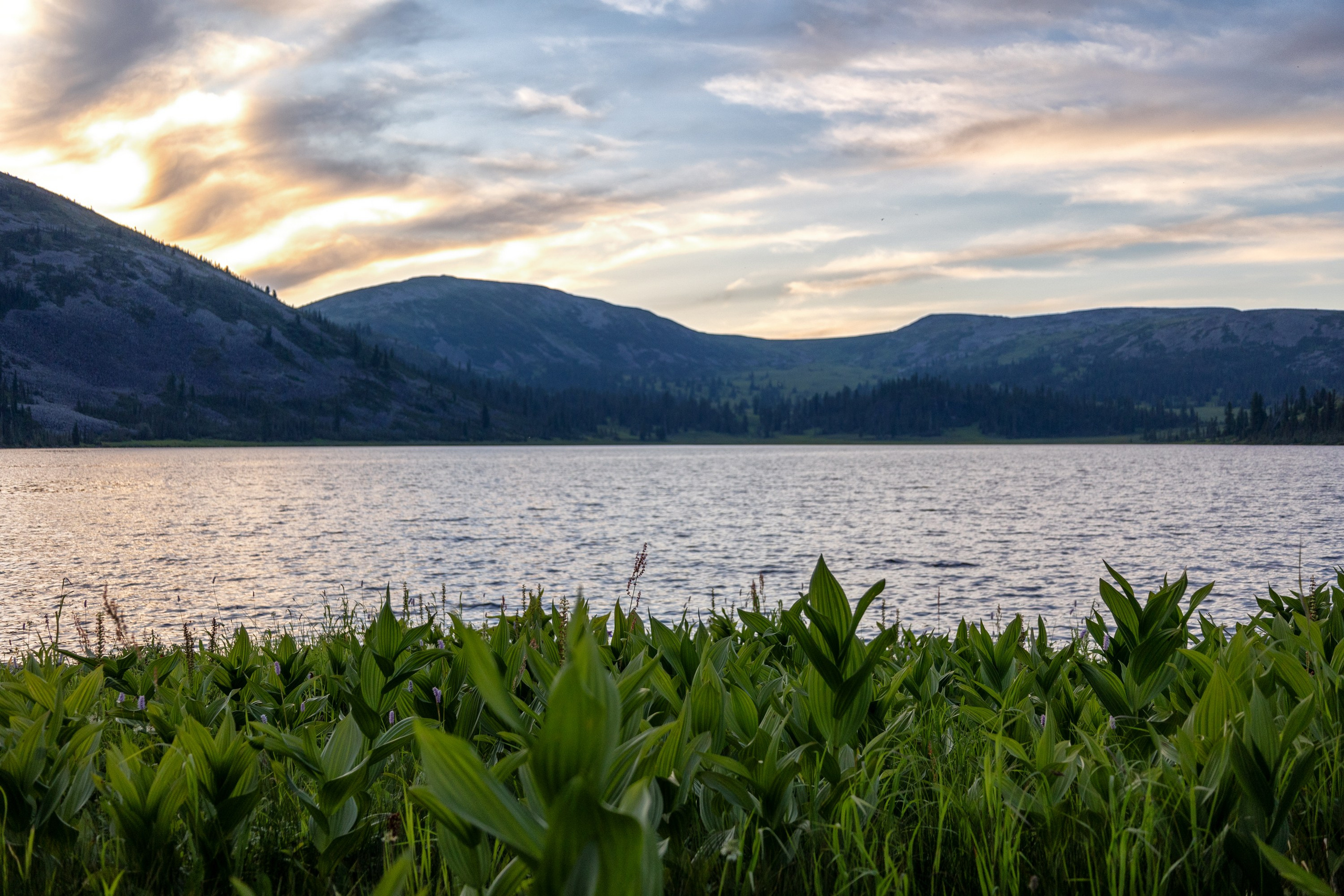 Ергаки. Семейный и детский фотограф в Красноярске, Дивногорцева Светлана