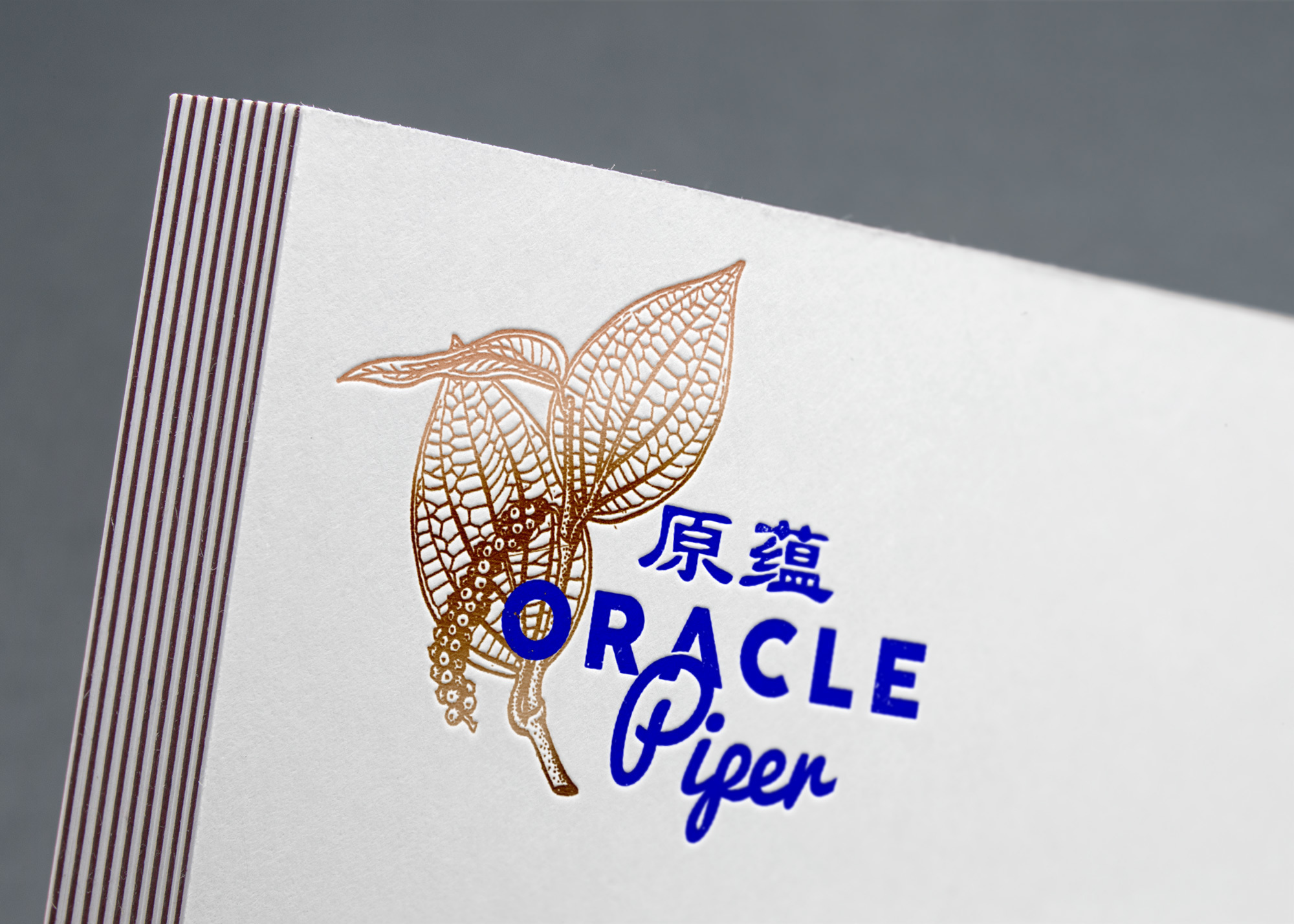 Oracle Piper. Branding and Interiors