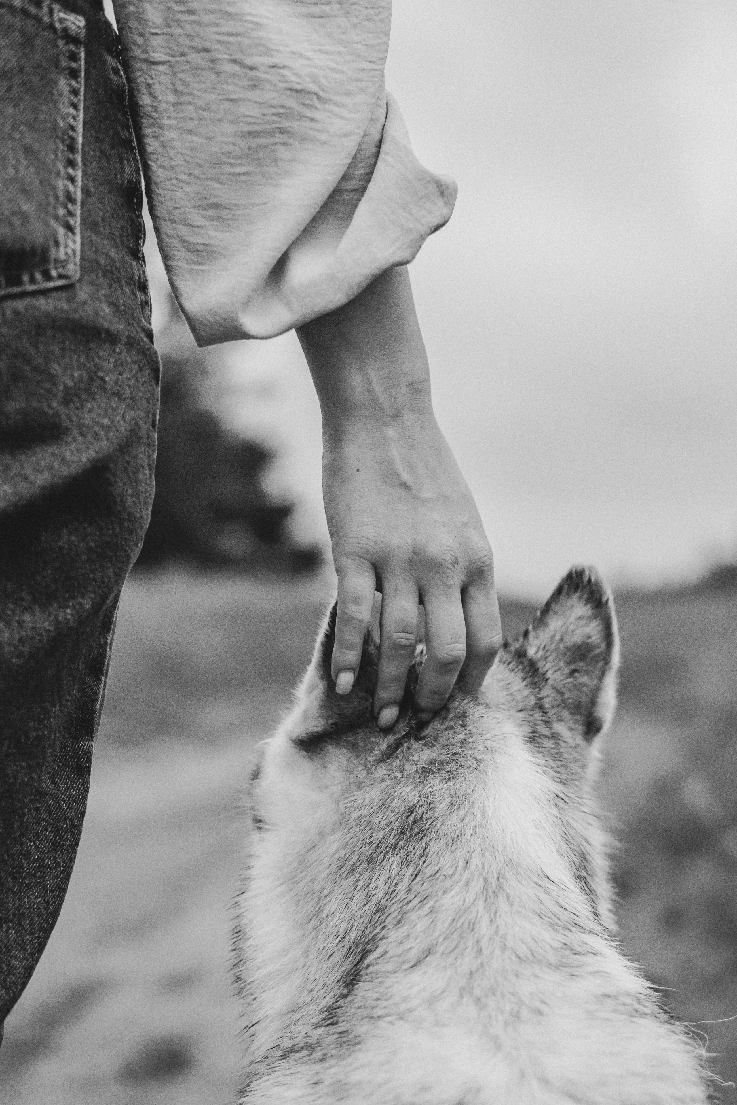 Lilya & Eva. Natalia Finch Photography — Family, Kids & Pet Photographer in Chicago, IL