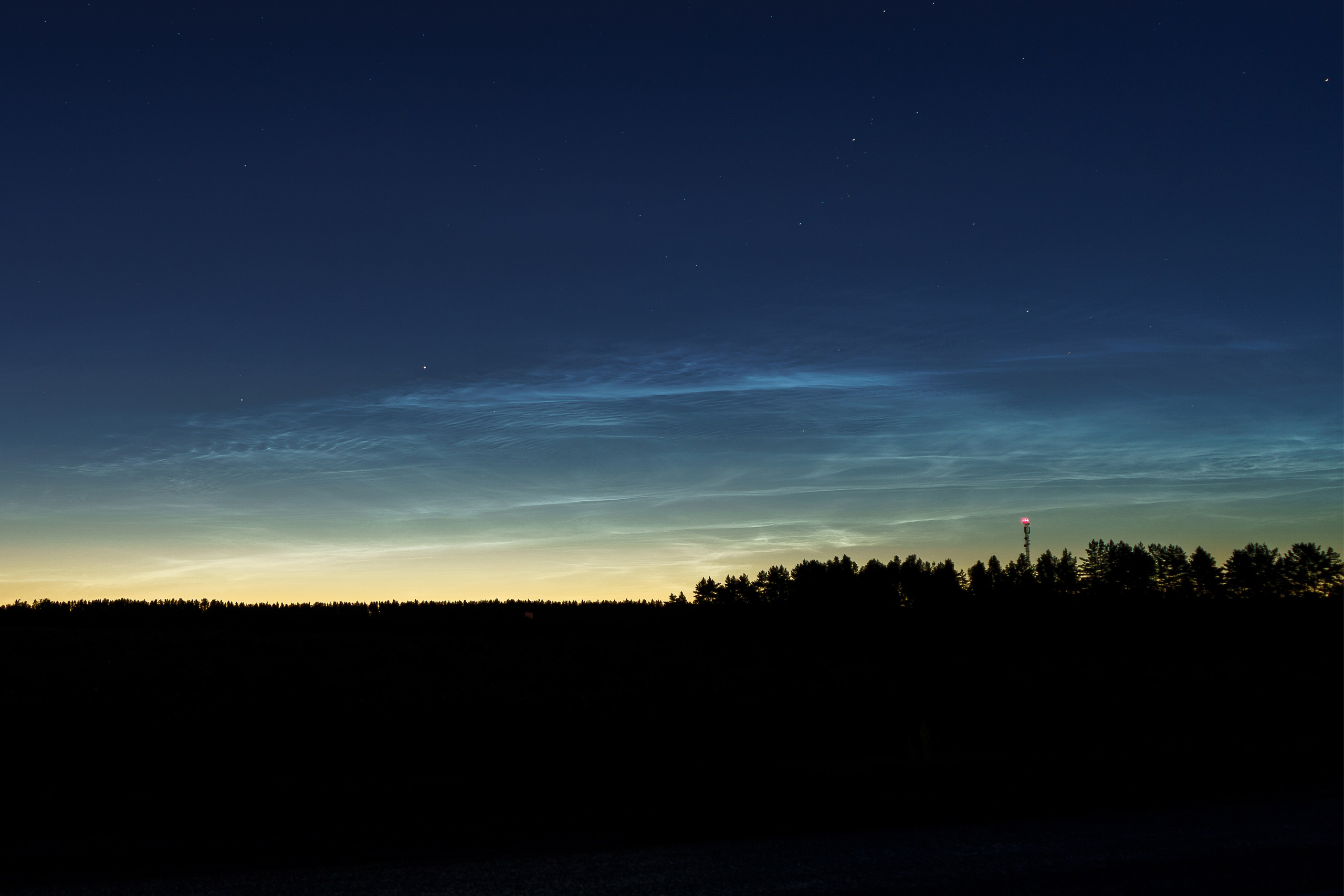 ЦВЕТНЫЕ ФОТОГРАФИИ. Никита Аничкин фото и видео оператор из России