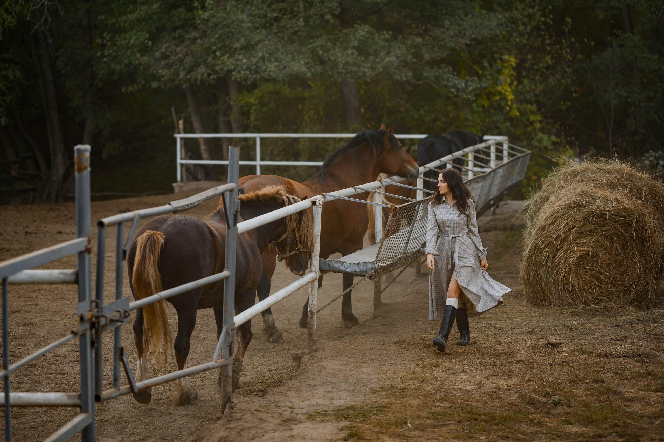 Лена и кони. Свадебный и семейный Фотограф в Пензе Татьяна Лапоногова