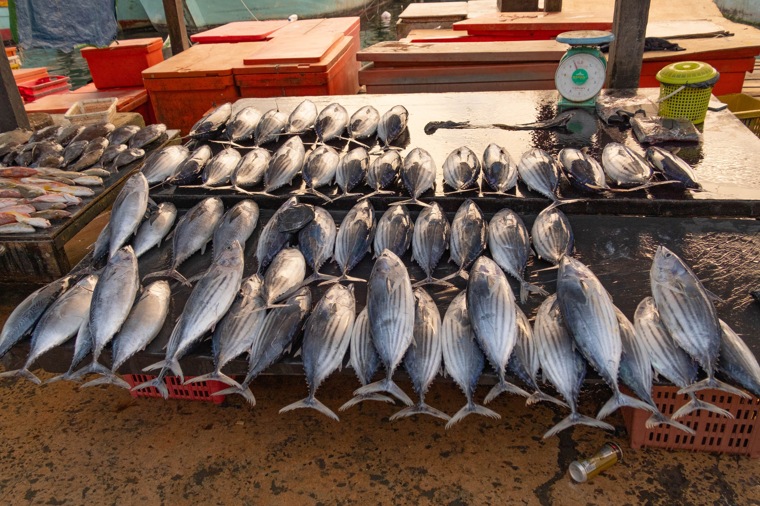 Остров Борнео, город Семпорна. Причал и рынок. Фотографии из путешествий