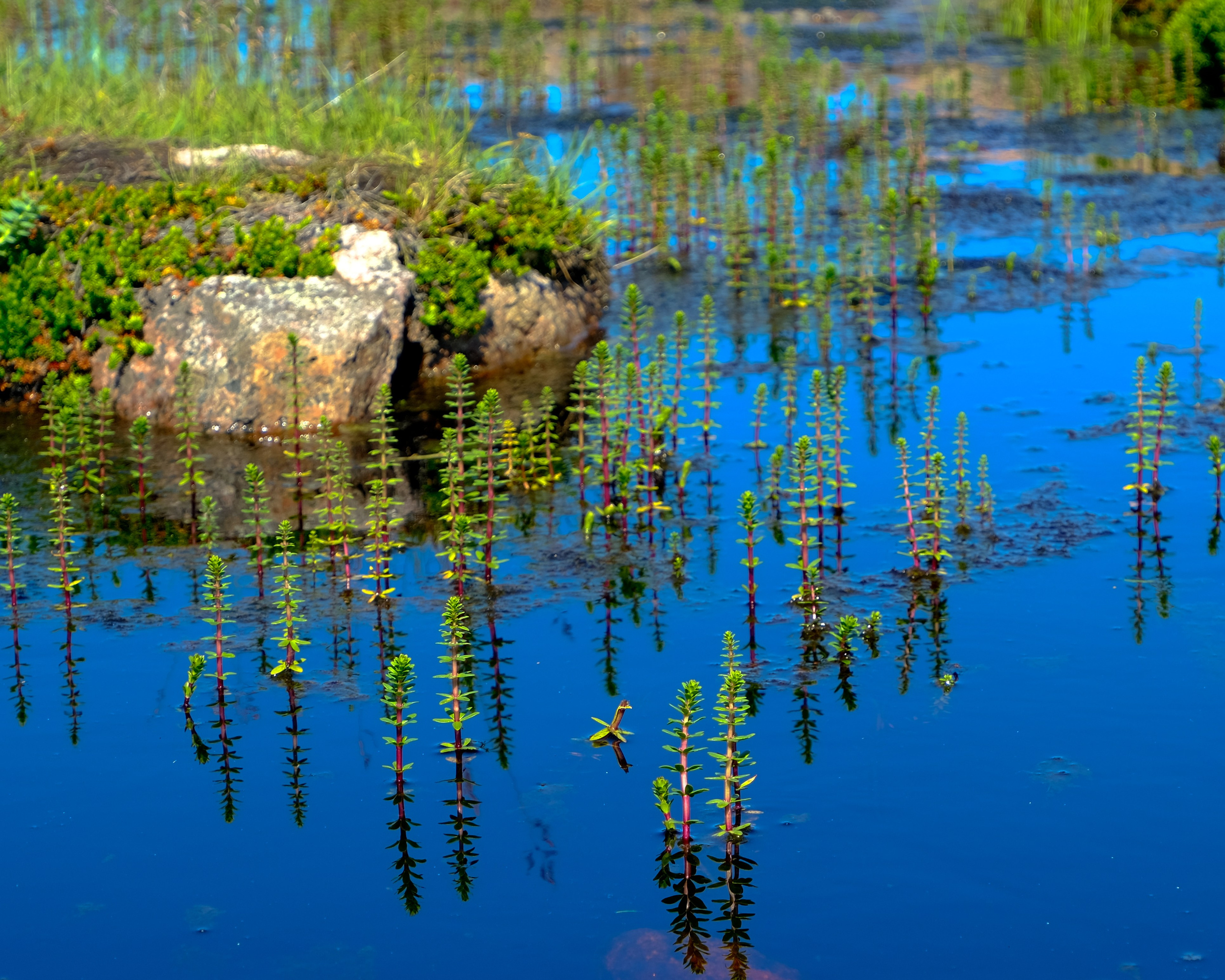 МУРМАНСК. Фотографии из путешествий