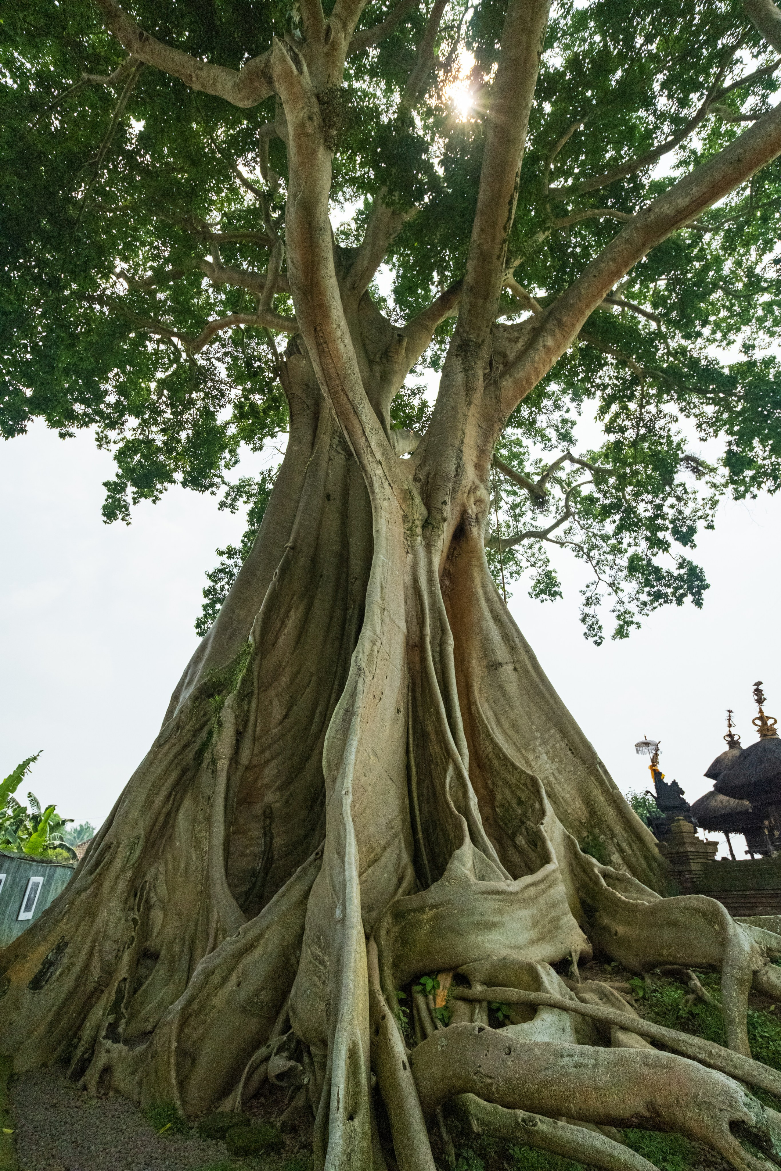 Остров Бали. Фотографии из путешествий
