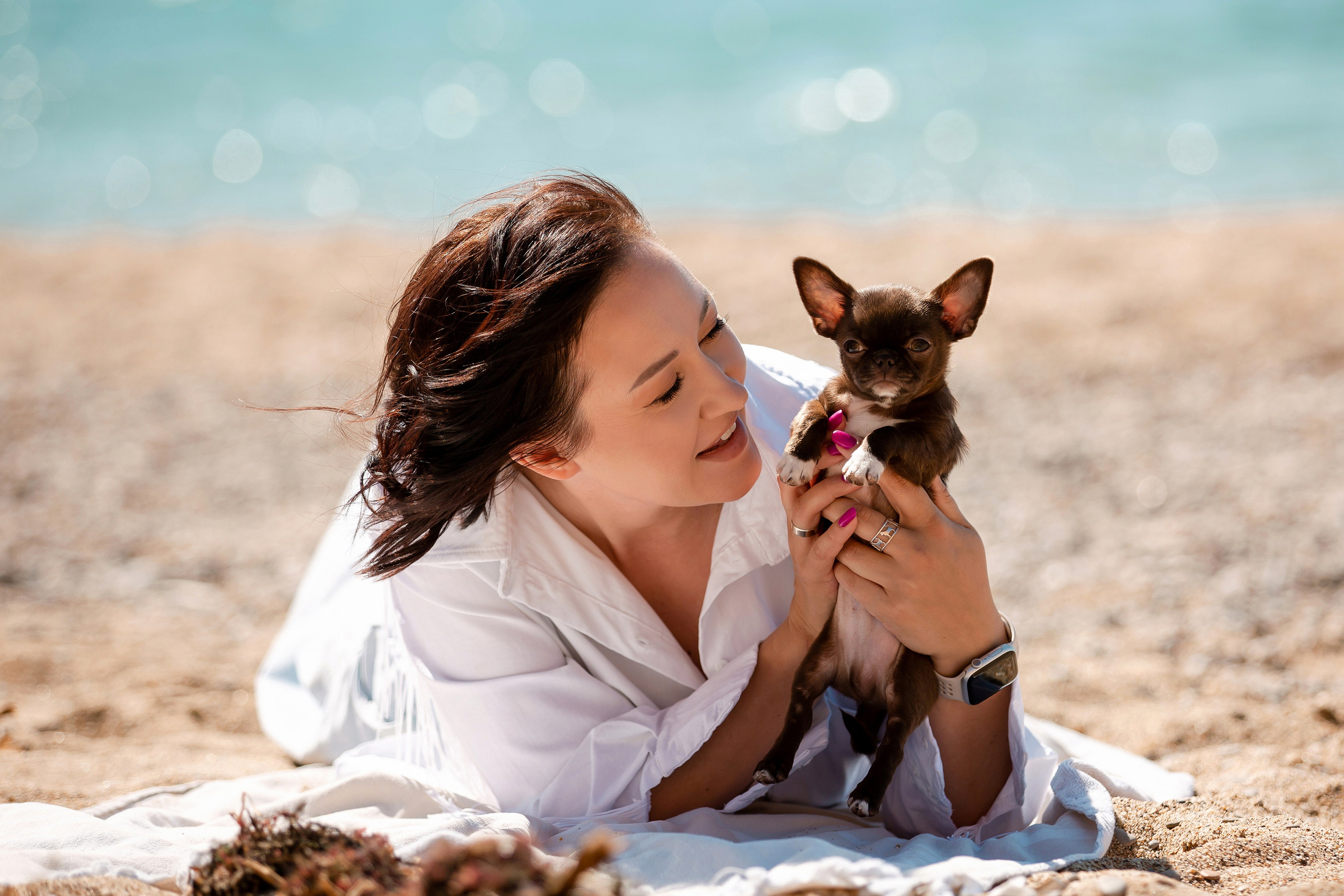Веймаранер и чихуахуа в Крыму. Фотограф-анималист в Краснодаре Маша Мельникова