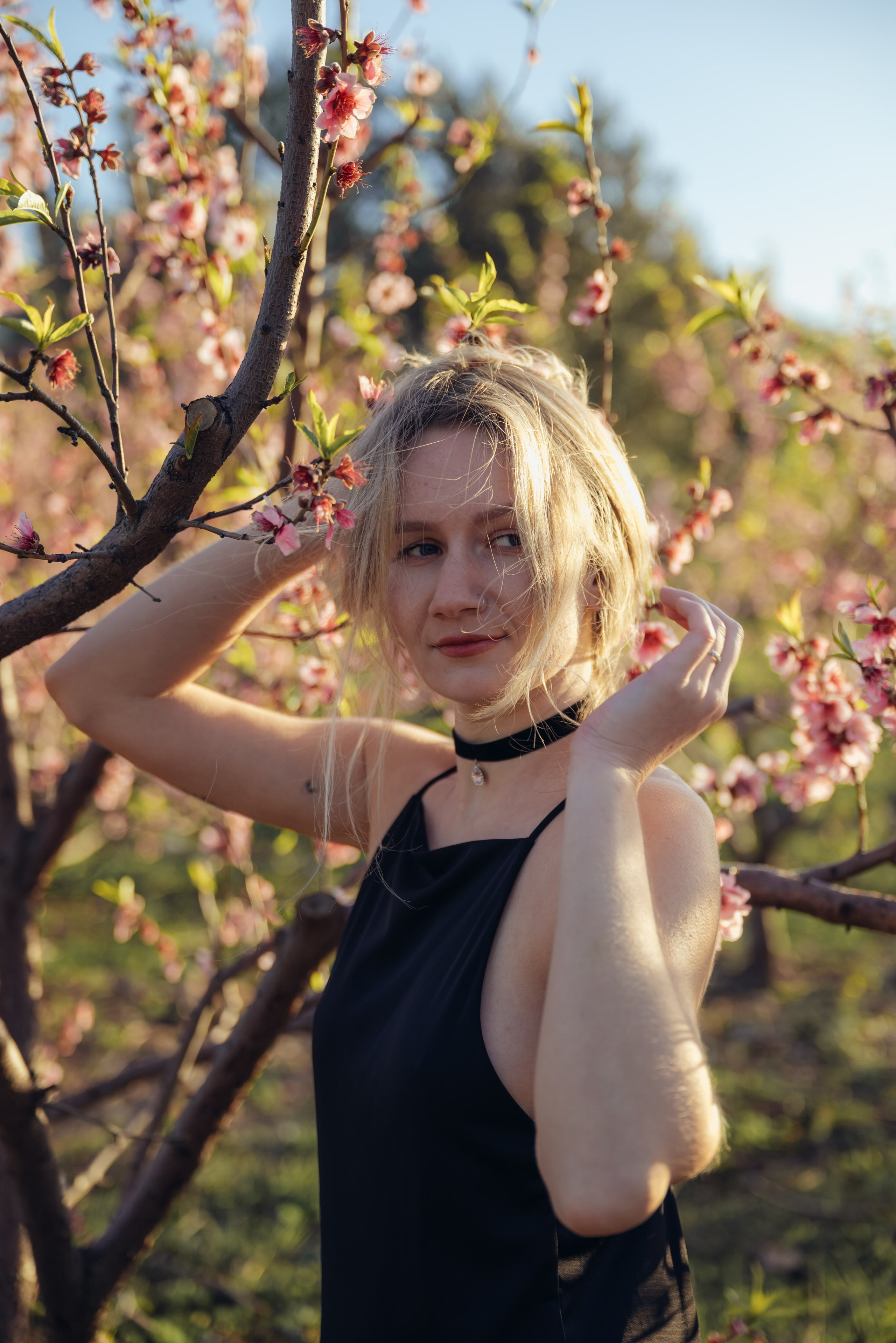 Цветущий миндаль. Анна Лобанова | фотограф