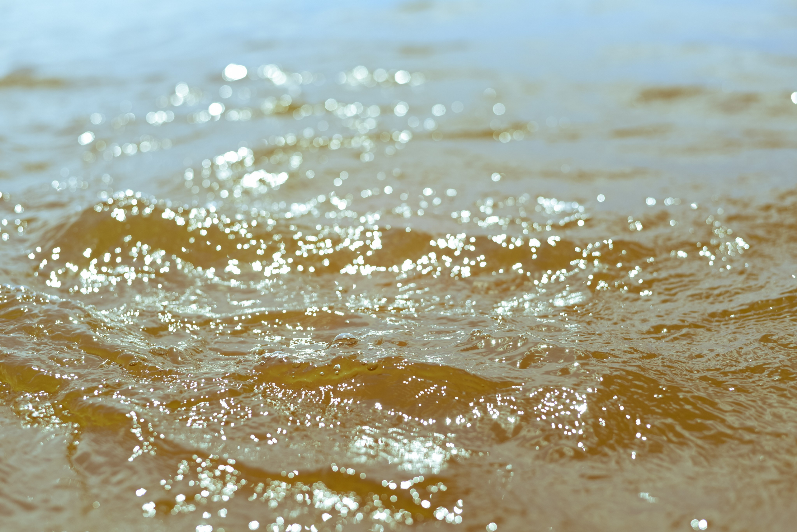 Маленькая хозяйка большого Мира. Детский и семейный фотограф в Новосибирске Саша Дорошенко