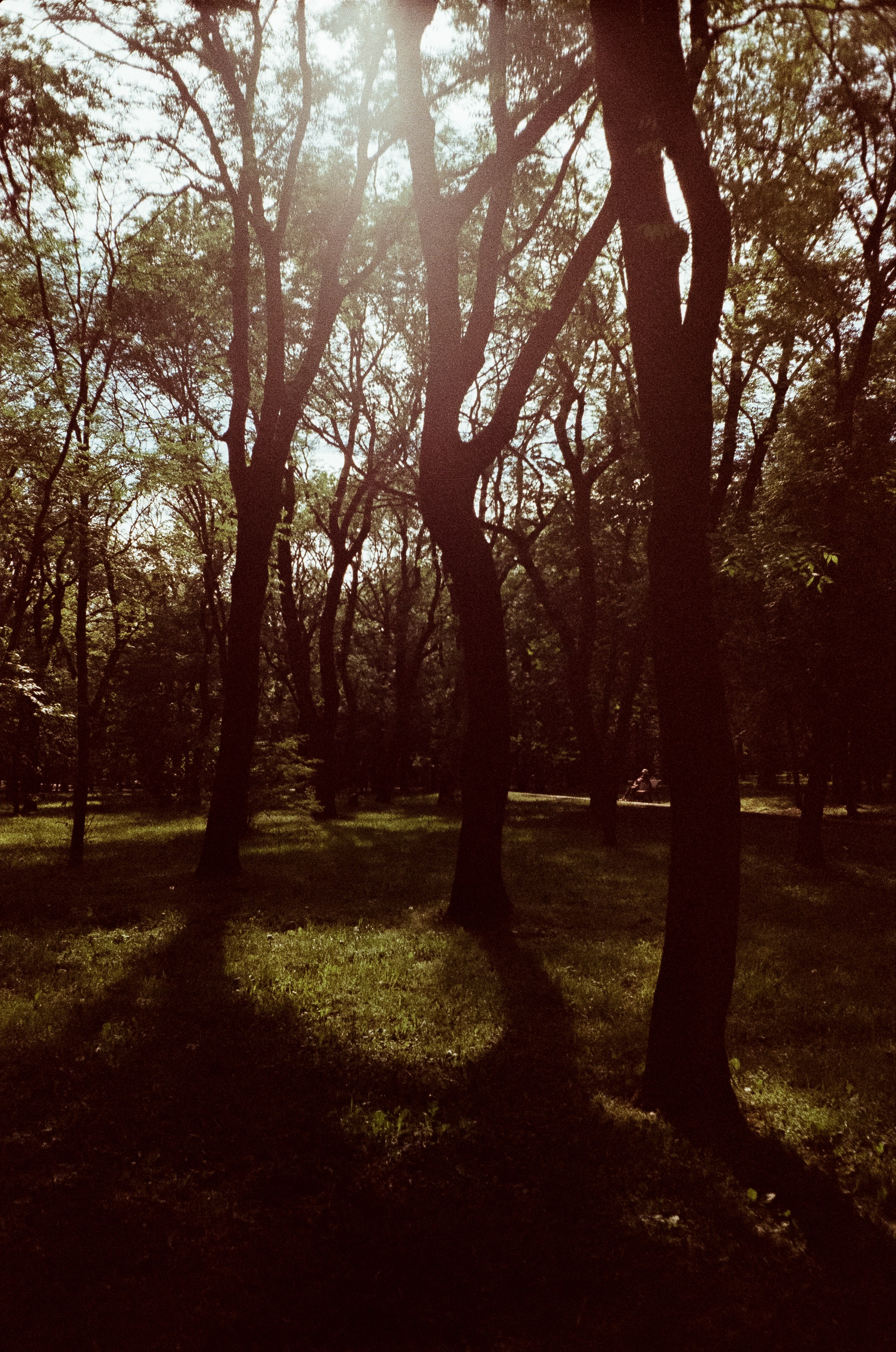 Ессентуки прогулка по городу / Minox 35GT / Agfa Vista 400 (просрочка)