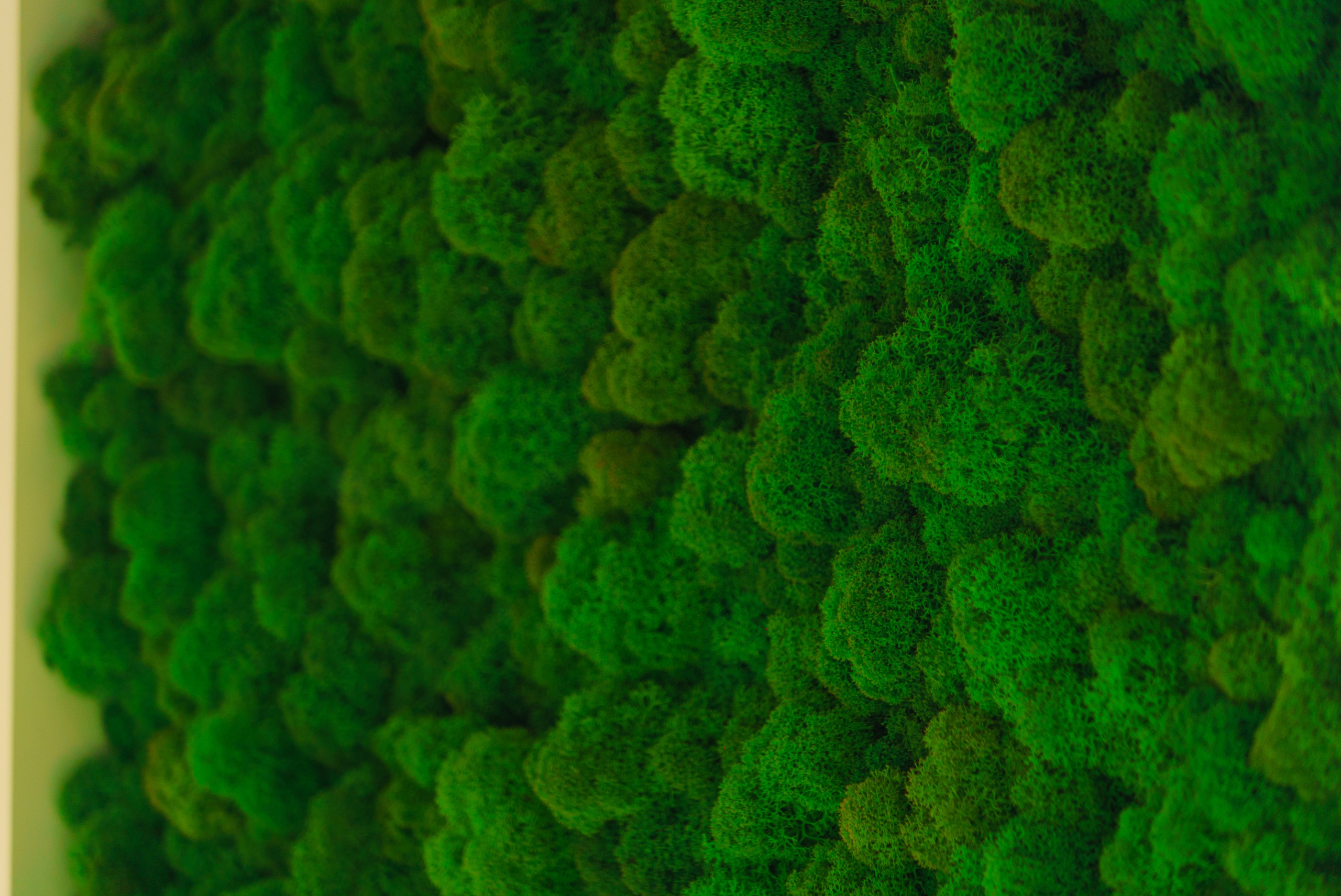 Кофейня факультет — фото и видео. Шедевры для Вас! Фотограф и Видеограф в Краснодаре Пахиев Руслан