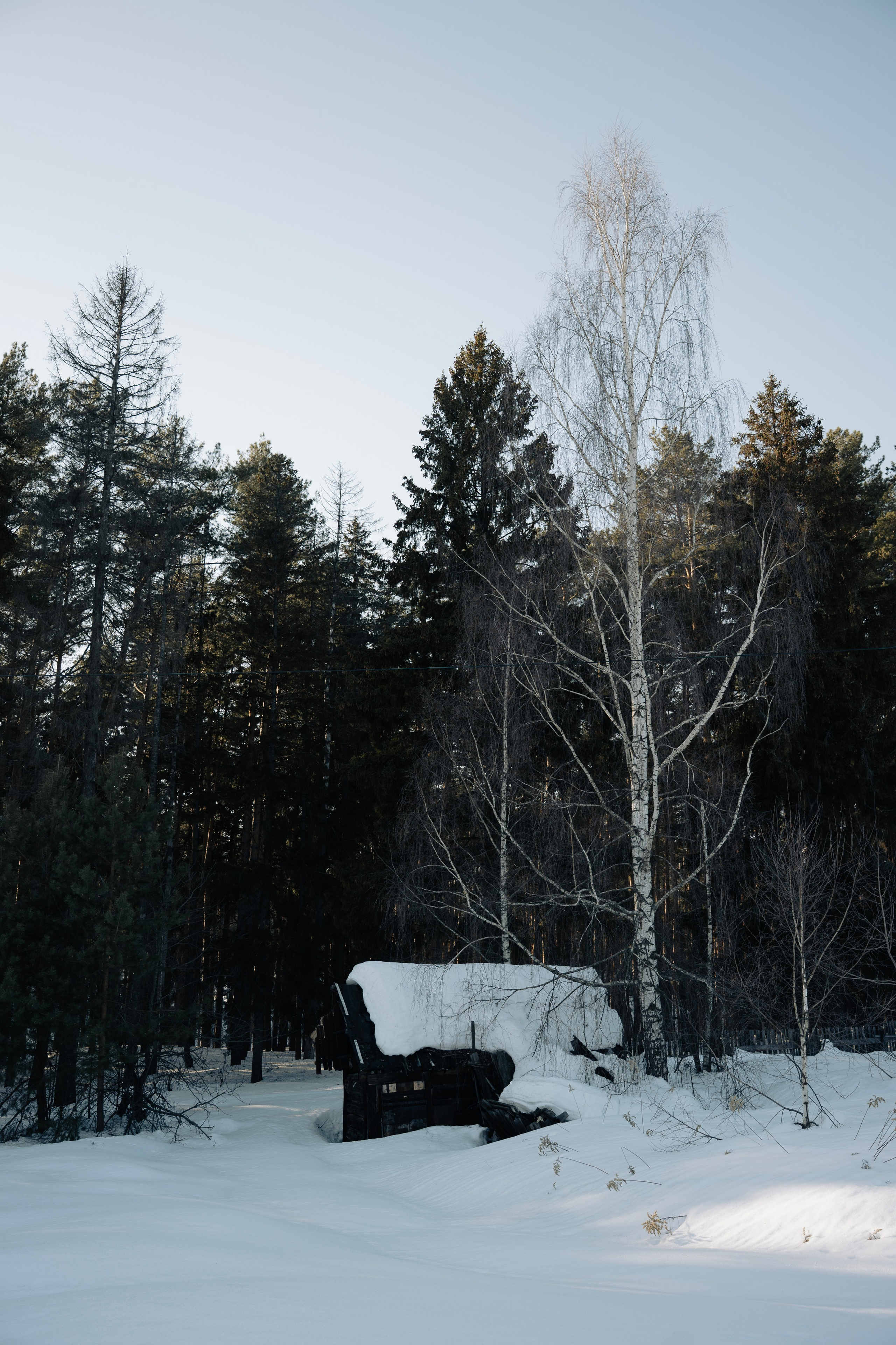 Street photo. Фотограф в Казани, и Зеленодольске Радик Мухаметов