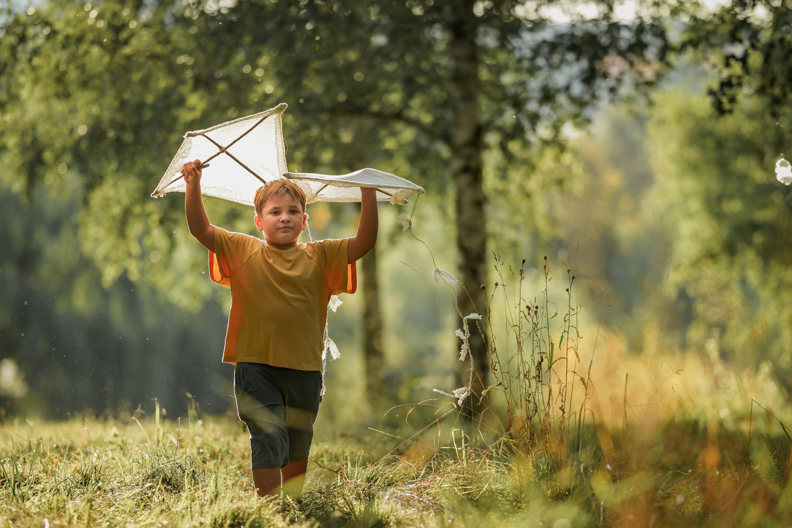 Воздушный змей. Семейный фотограф Ефремова Виктория