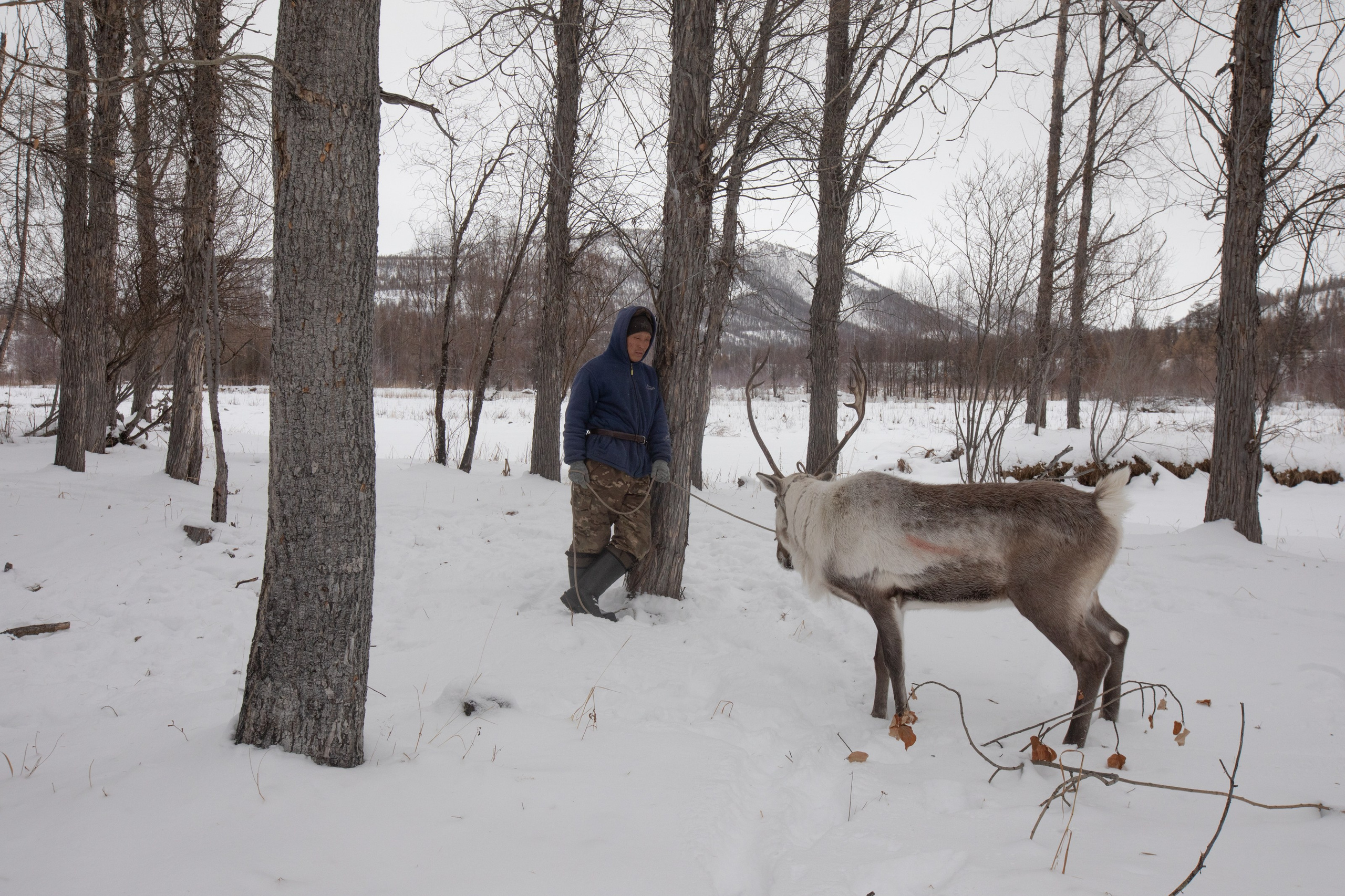 Не забудь накормить озеро. Natalya Madilyan