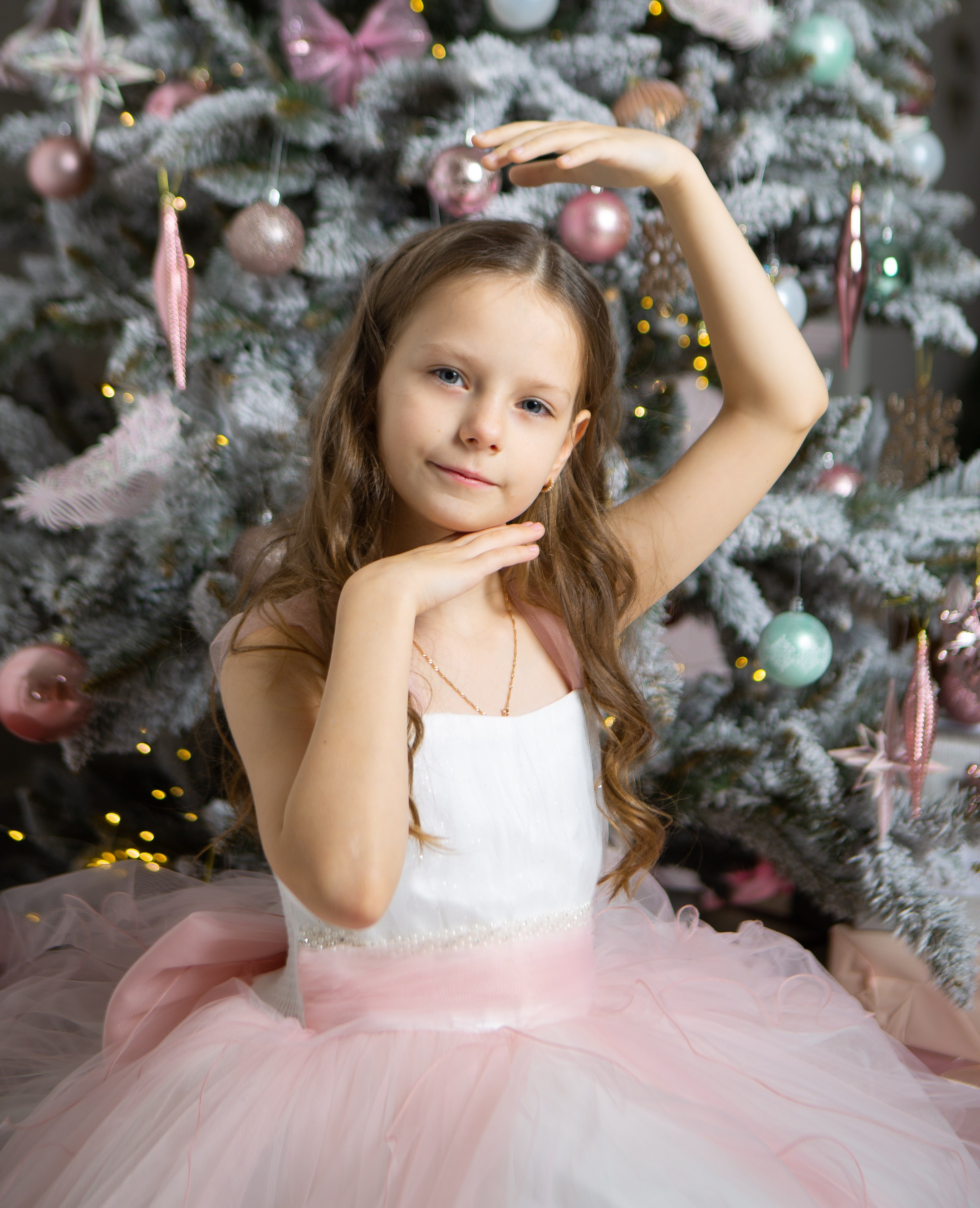 Декабрь 2023. Фотограф Тверь|Москва|Волоколамск| Отт Кристина