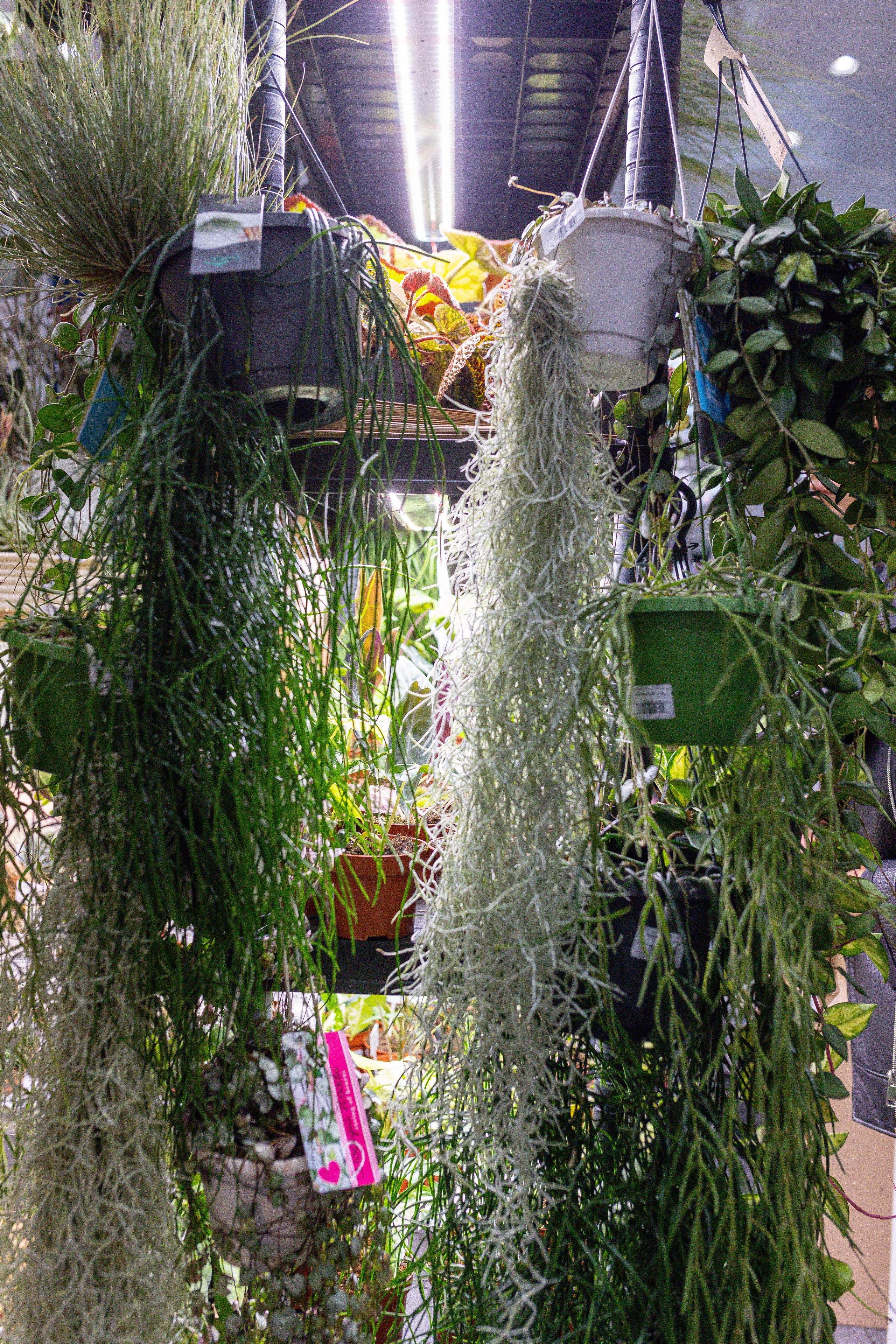 Монстериум 11–12 октября. Александра Куликова фотограф, Москва