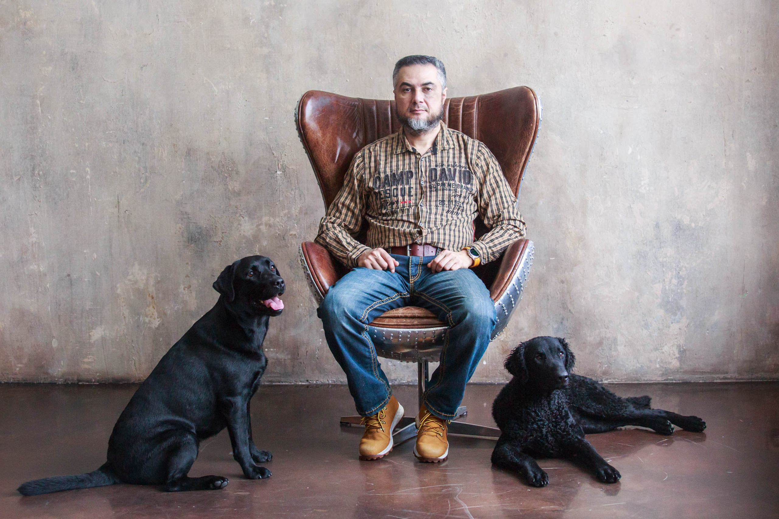 Лабрадор ретривер и курчавошерстный ретривер фотосессия на Новый год в фотостудии. Семейный и детский фотограф в Москве Мария Быкова