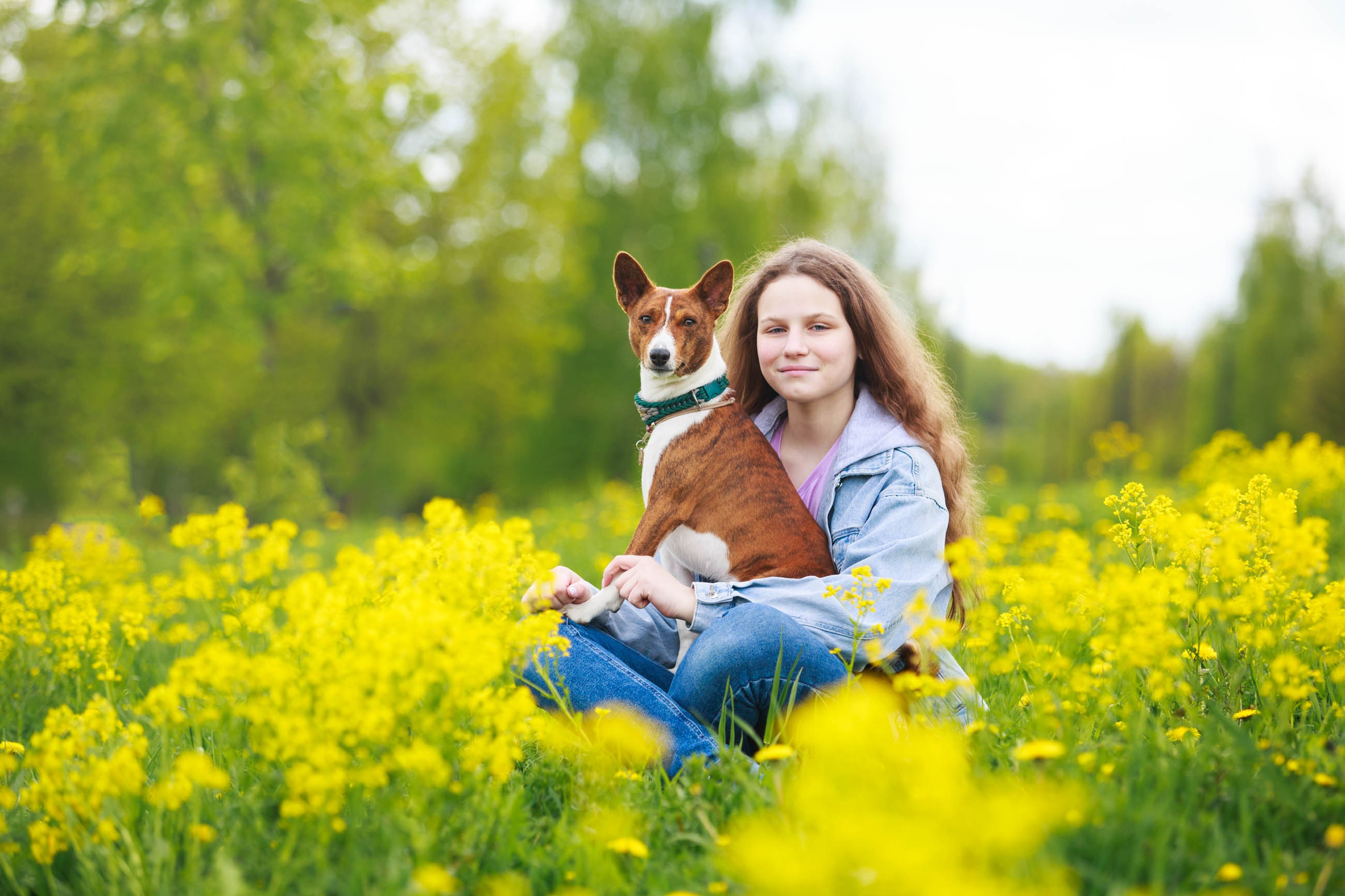 Собаки и их люди❤️. Семейный и детский фотограф в Москве Мария Быкова