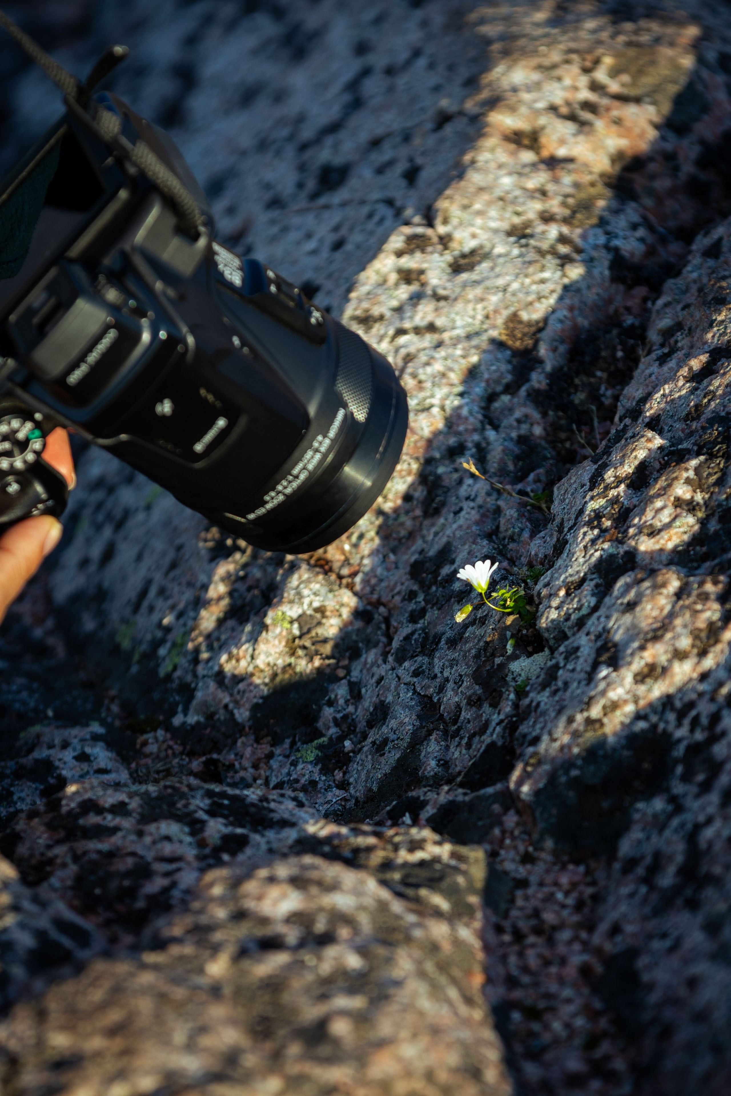 Кольский (осень 2025). Фотограф Виноградов Константин