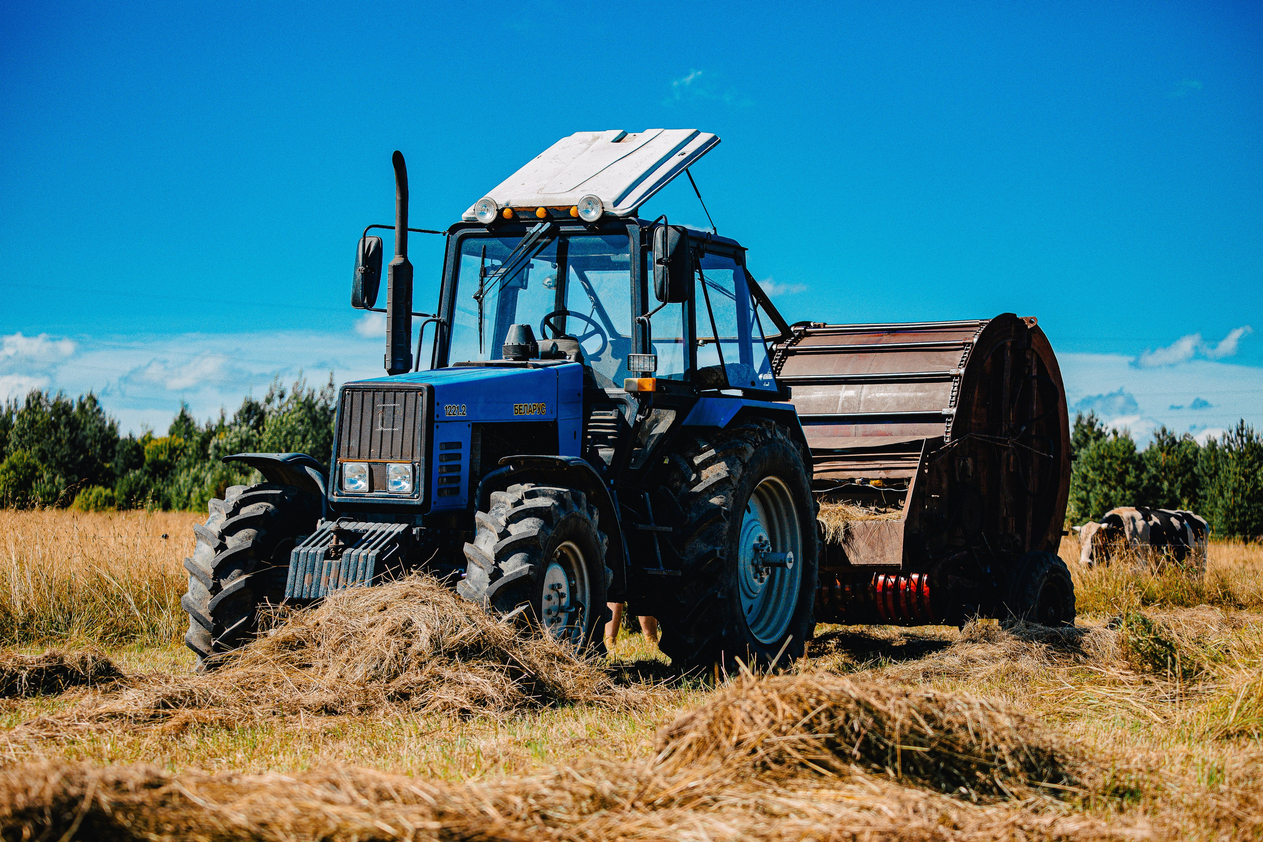 Детские съёмки. Авторские туры с профессиональным фотографом