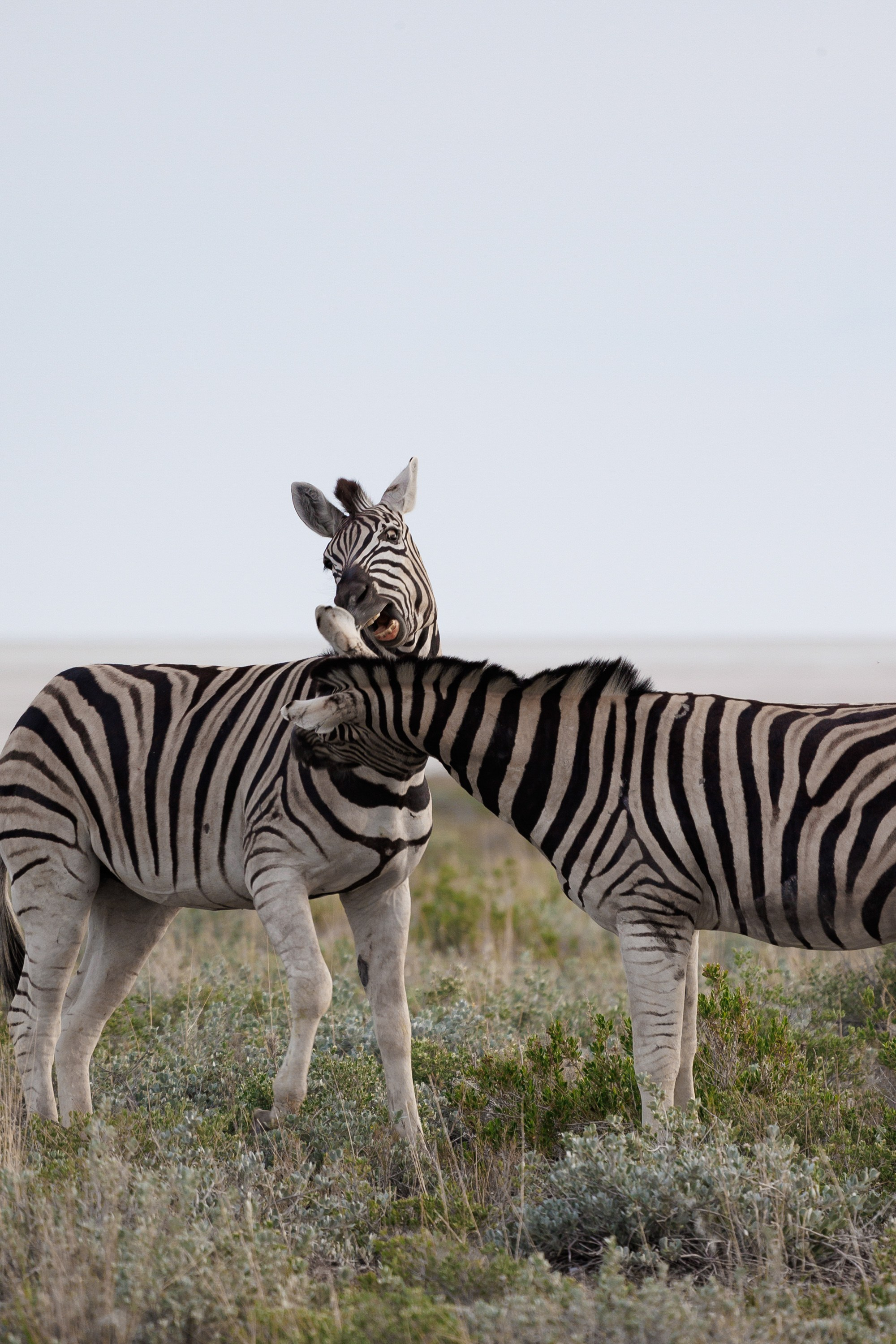 НАМИБИЯ. Роадтрип