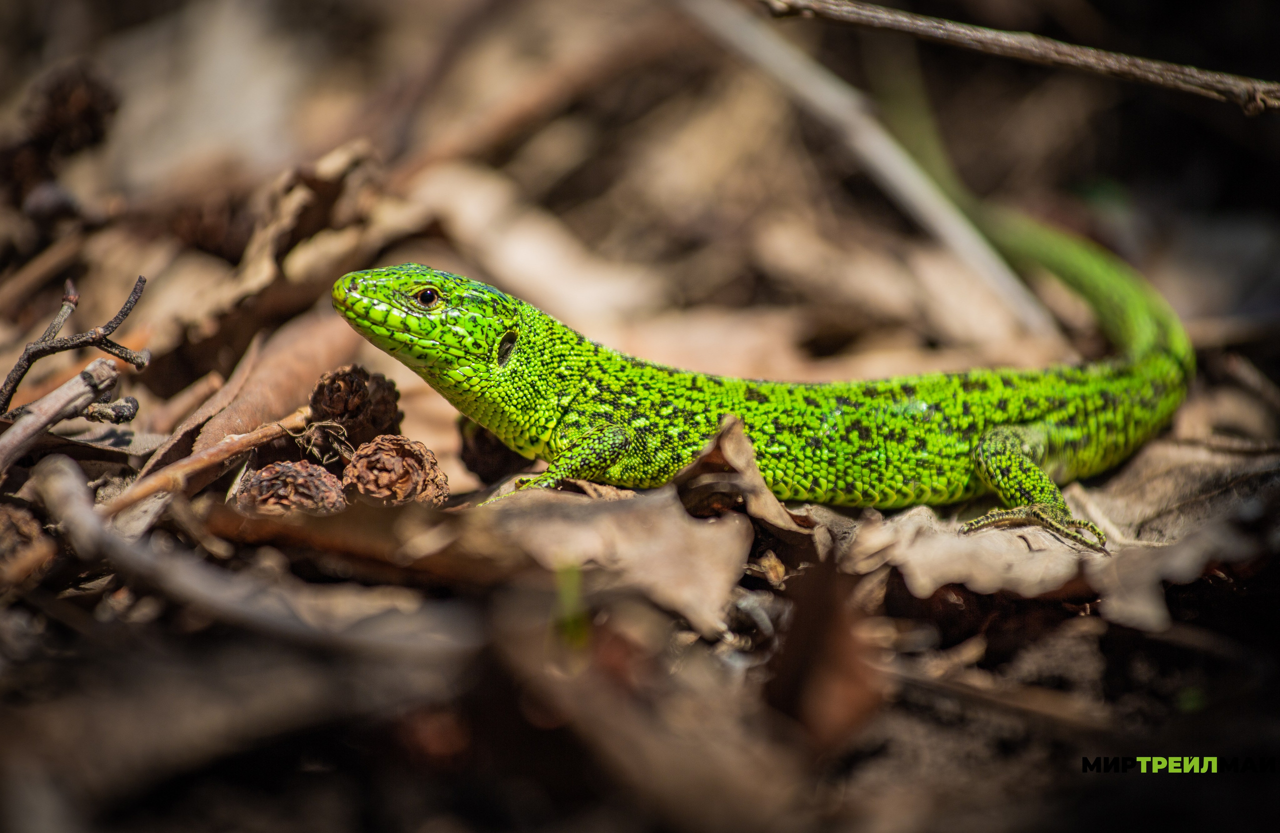 Южный Урал. Авторские туры с профессиональным фотографом
