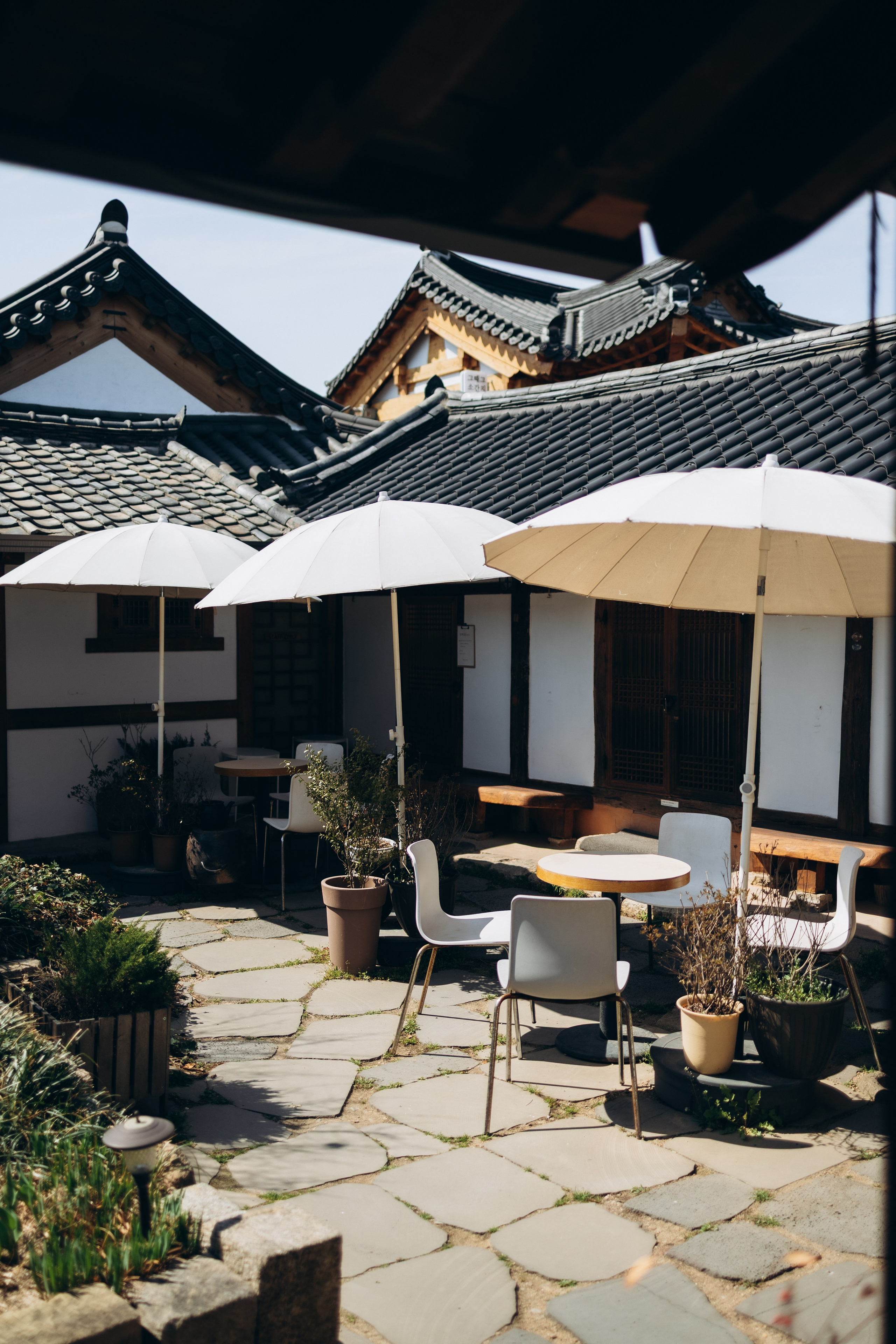 Семейная фотосессия в Кёнджу. Фотограф Артем Бросов в Санкт-Петербурге и Дубае