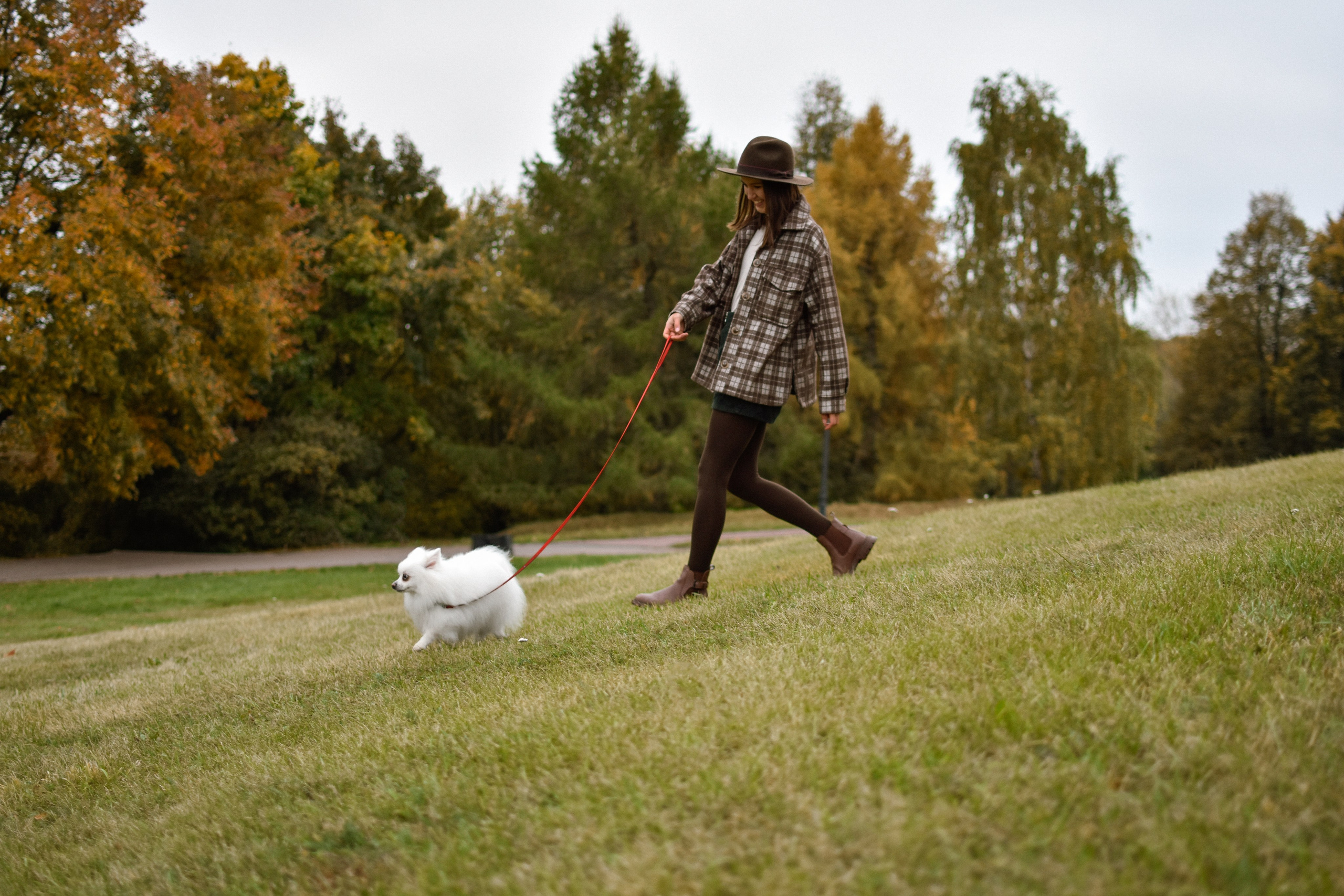 Анабель и Саша. Фотограф-анималист Ксения Шевцова|Москва