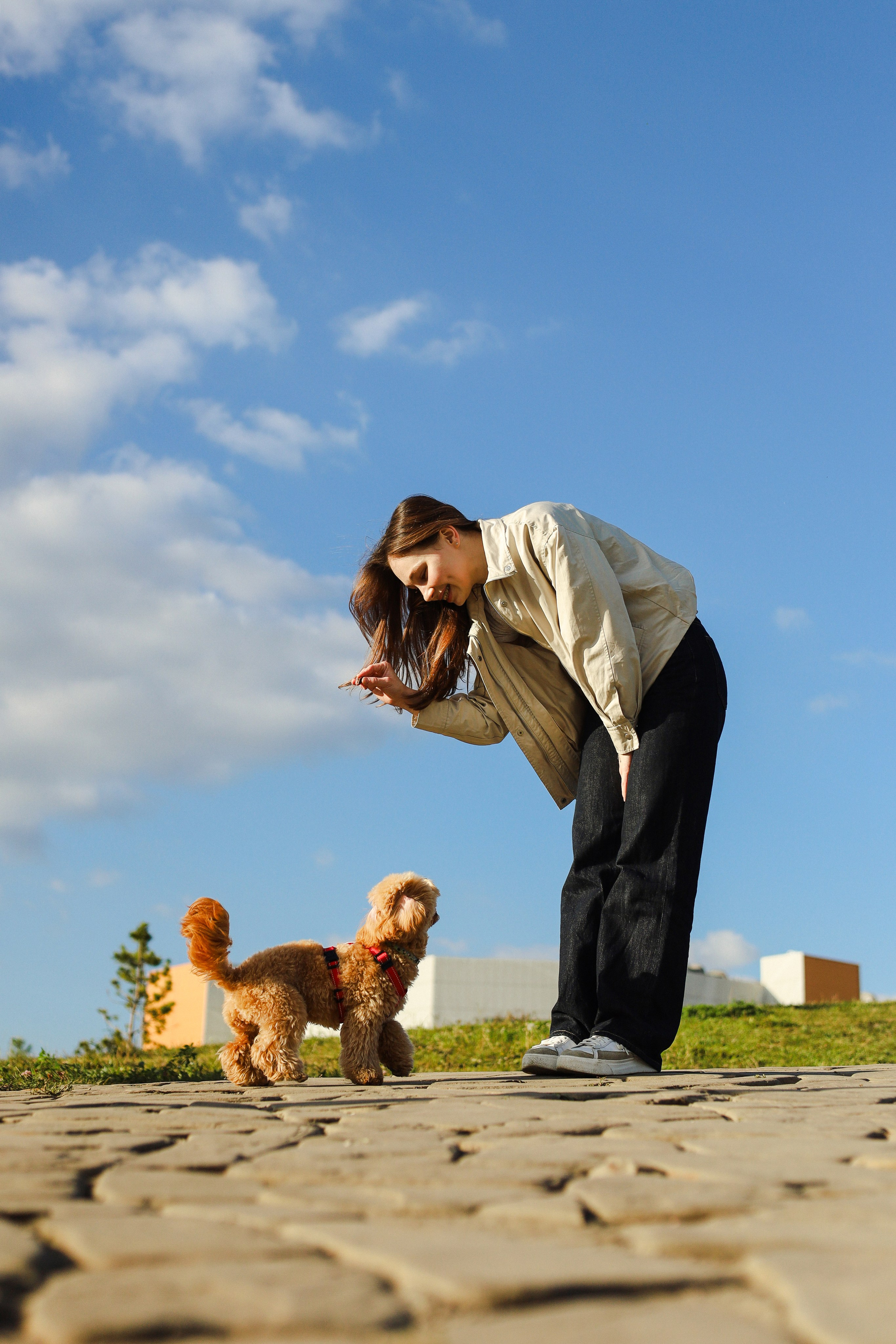 Поршик и Ксения. Фотограф-анималист Ксения Шевцова|Москва