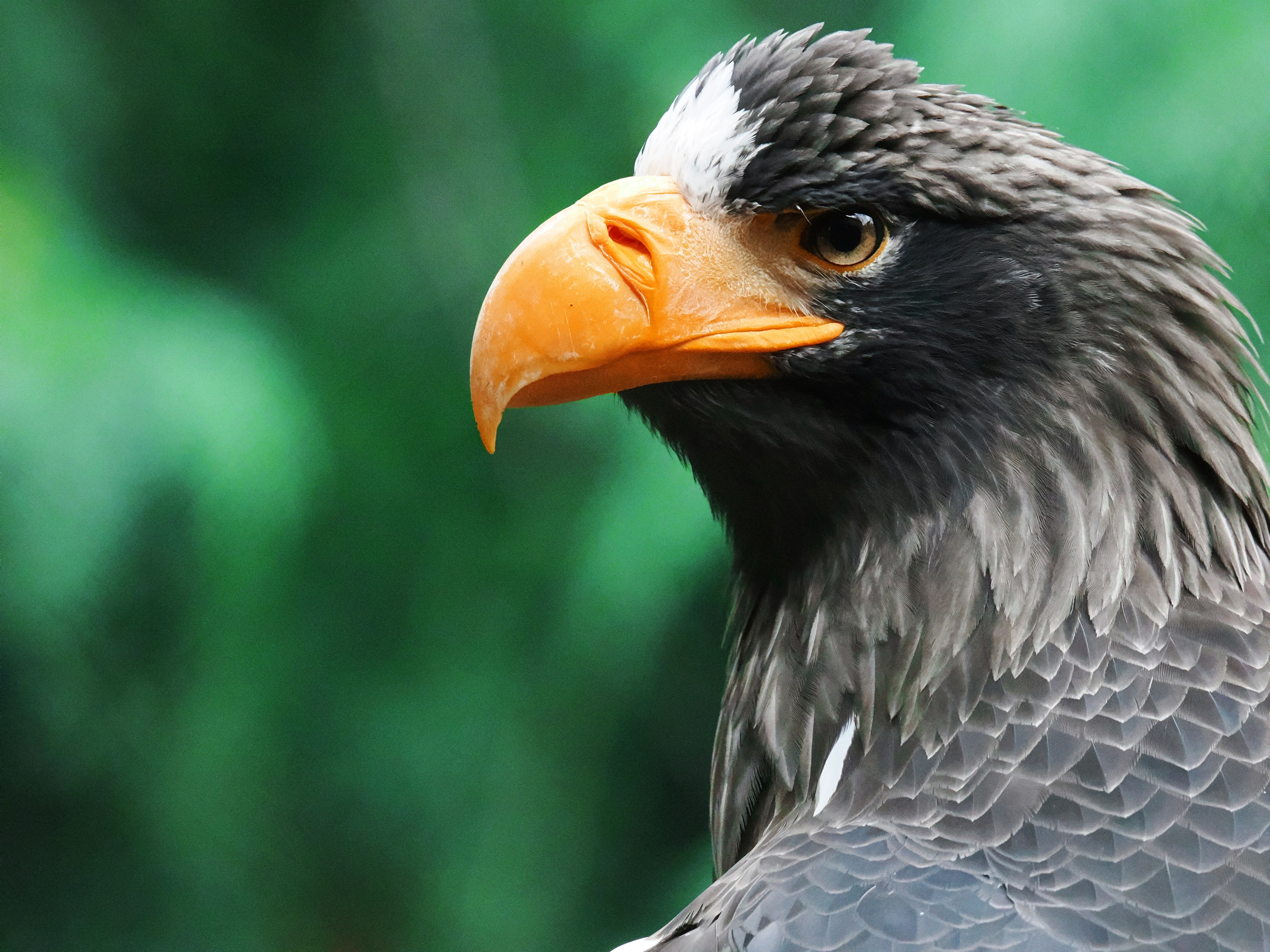 Коммерческая цветокоррекция