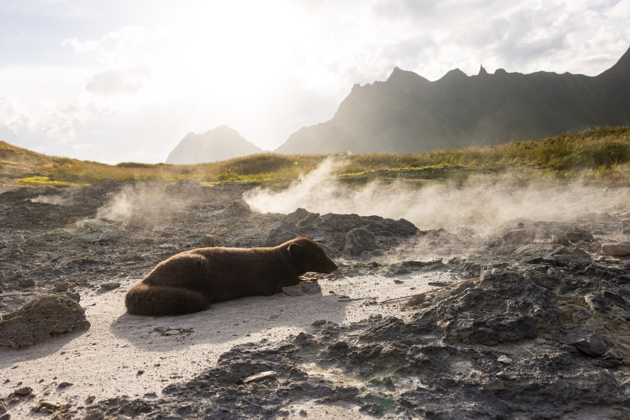 Экспедиция по Северным Курильским островам с Vasta. Фотограф Красная Поляна — Сочи — Москва