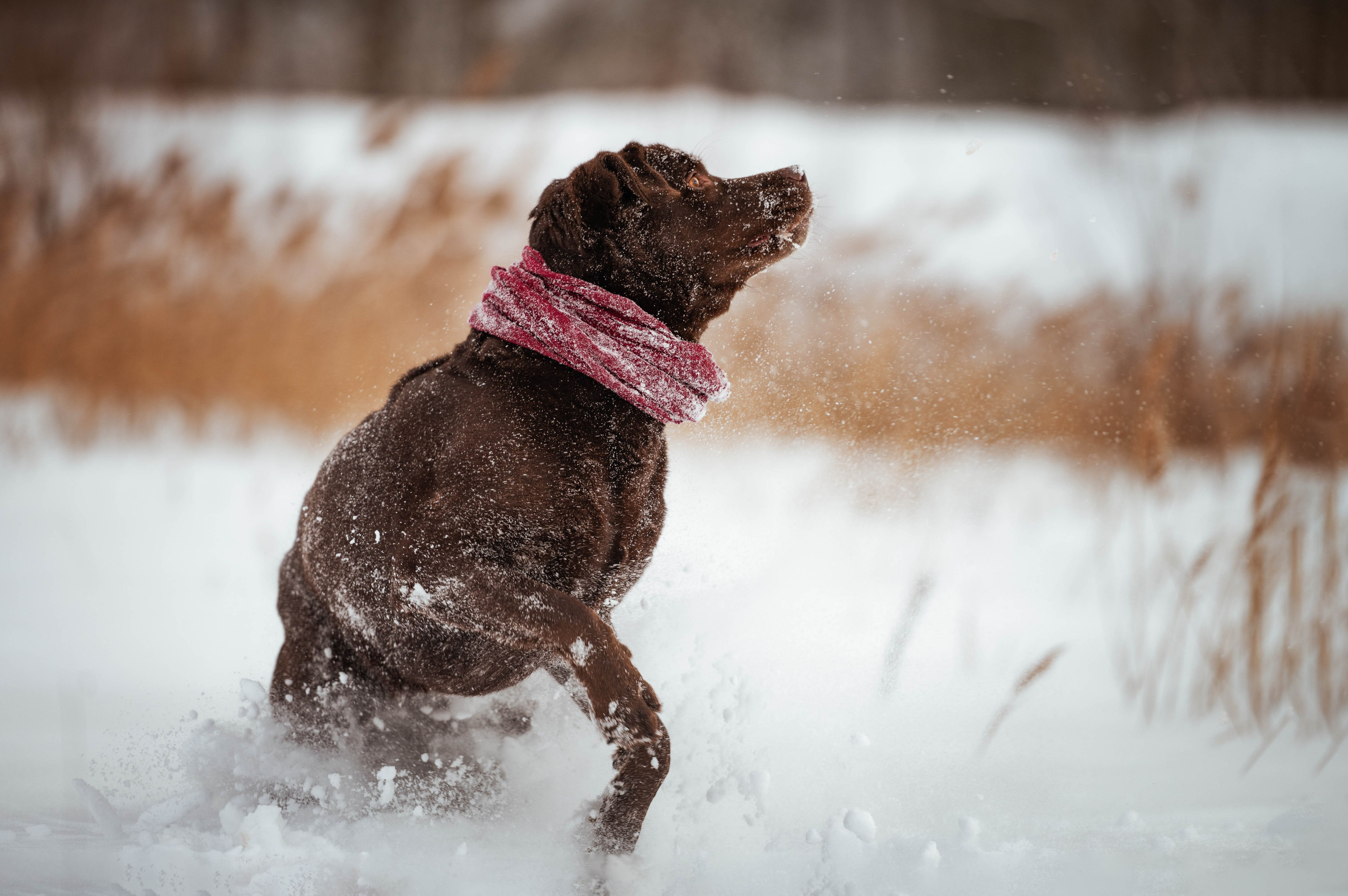 Прогулка на Лыткаринском карьере. Фотограф-анималист