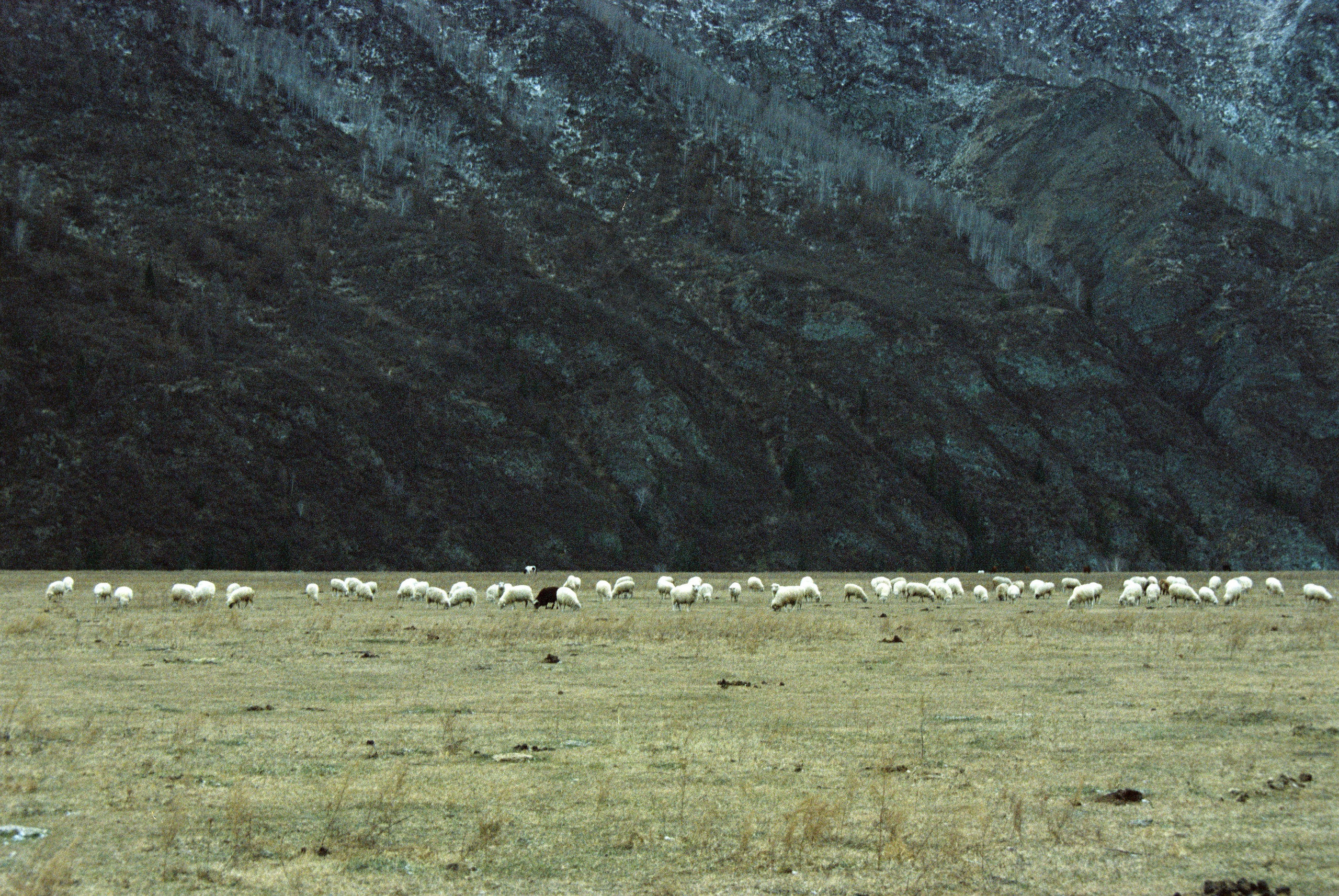 Путешествия. Anastasiia Kron