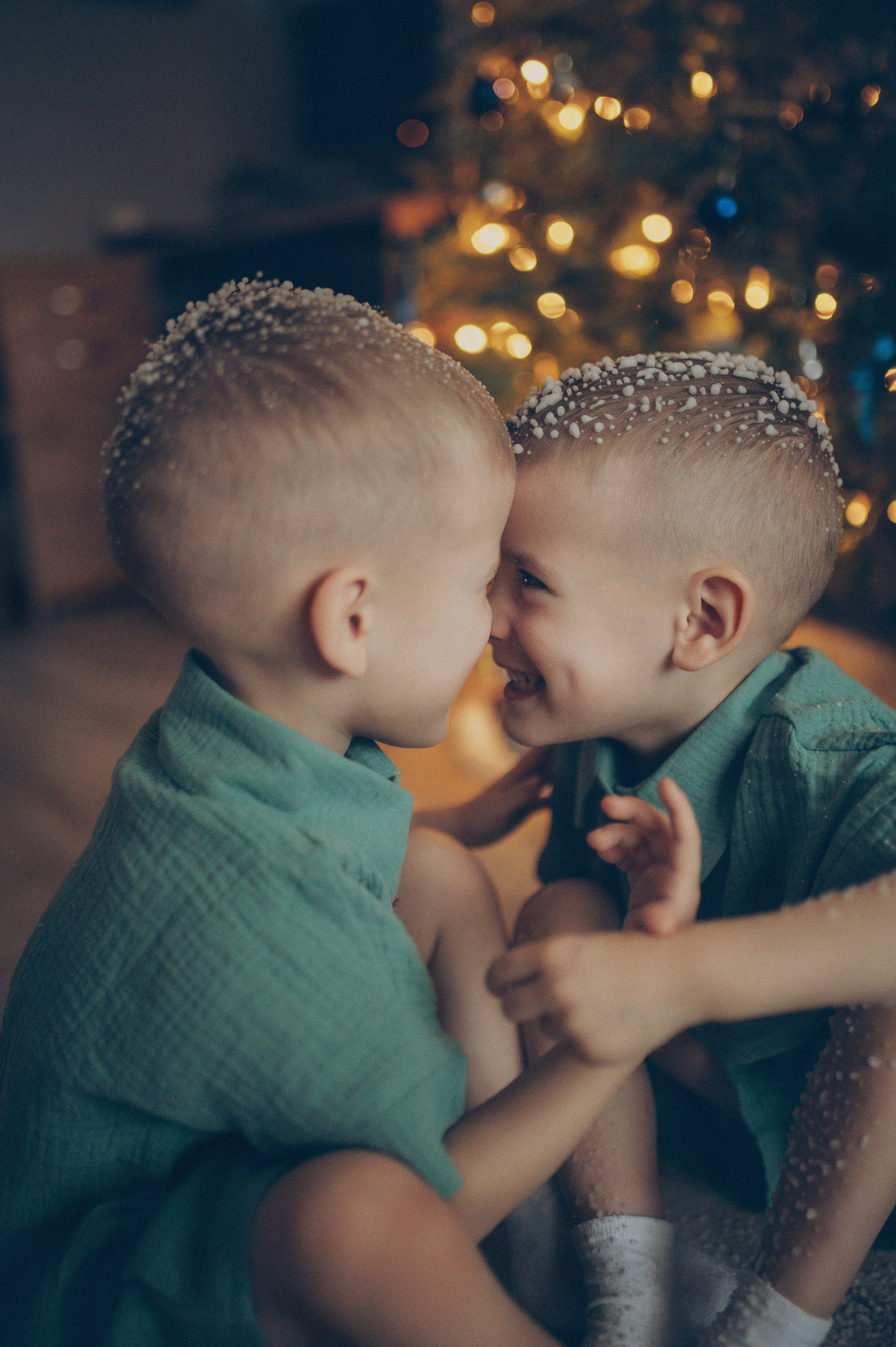 Миша и Тимофей (новогодняя домашняя). Фотограф, г. Лесной Свердловской области