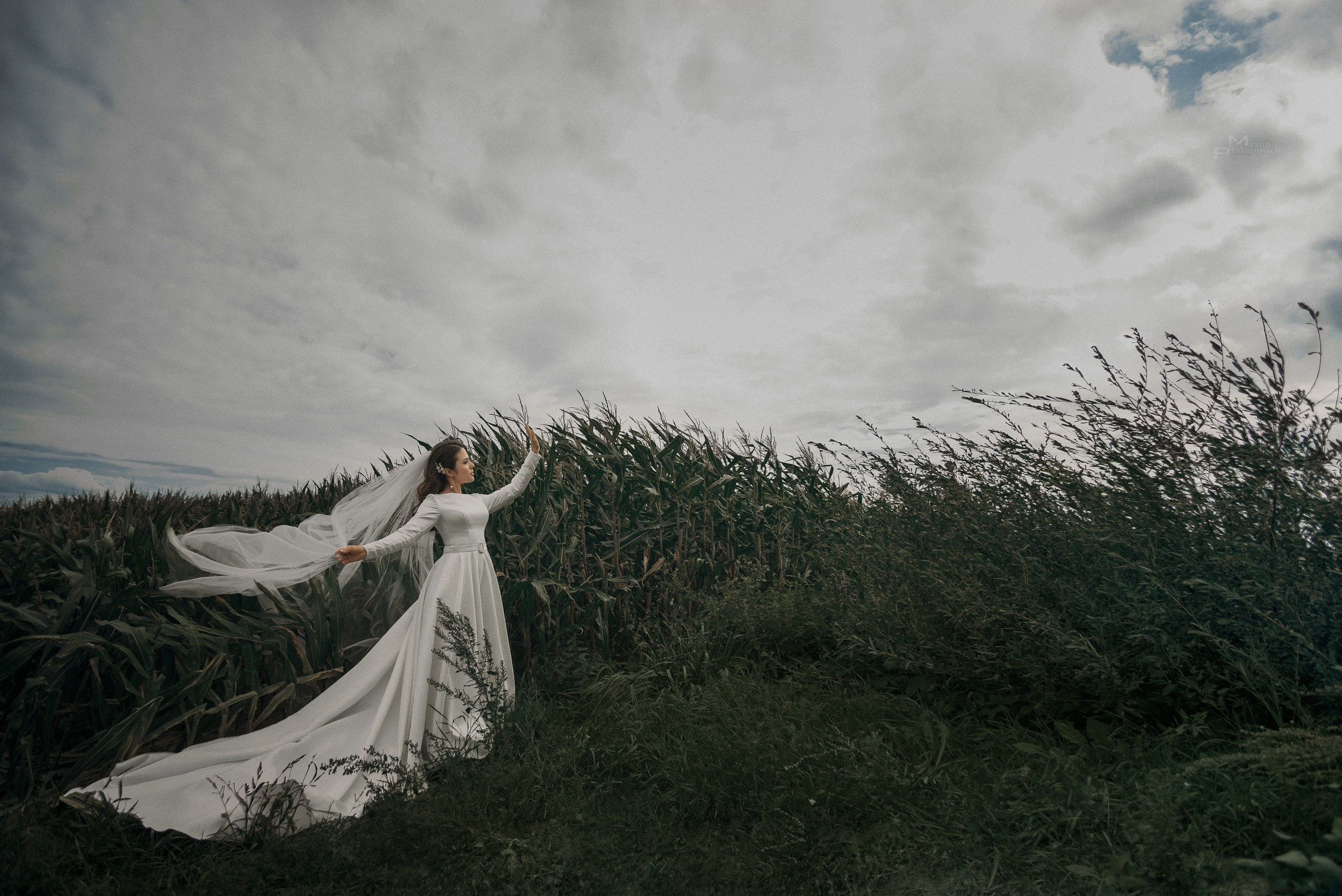 Serg + Anna. Фотограф/видеомейкер в Минске, Москве, Витебске, видеосьемка