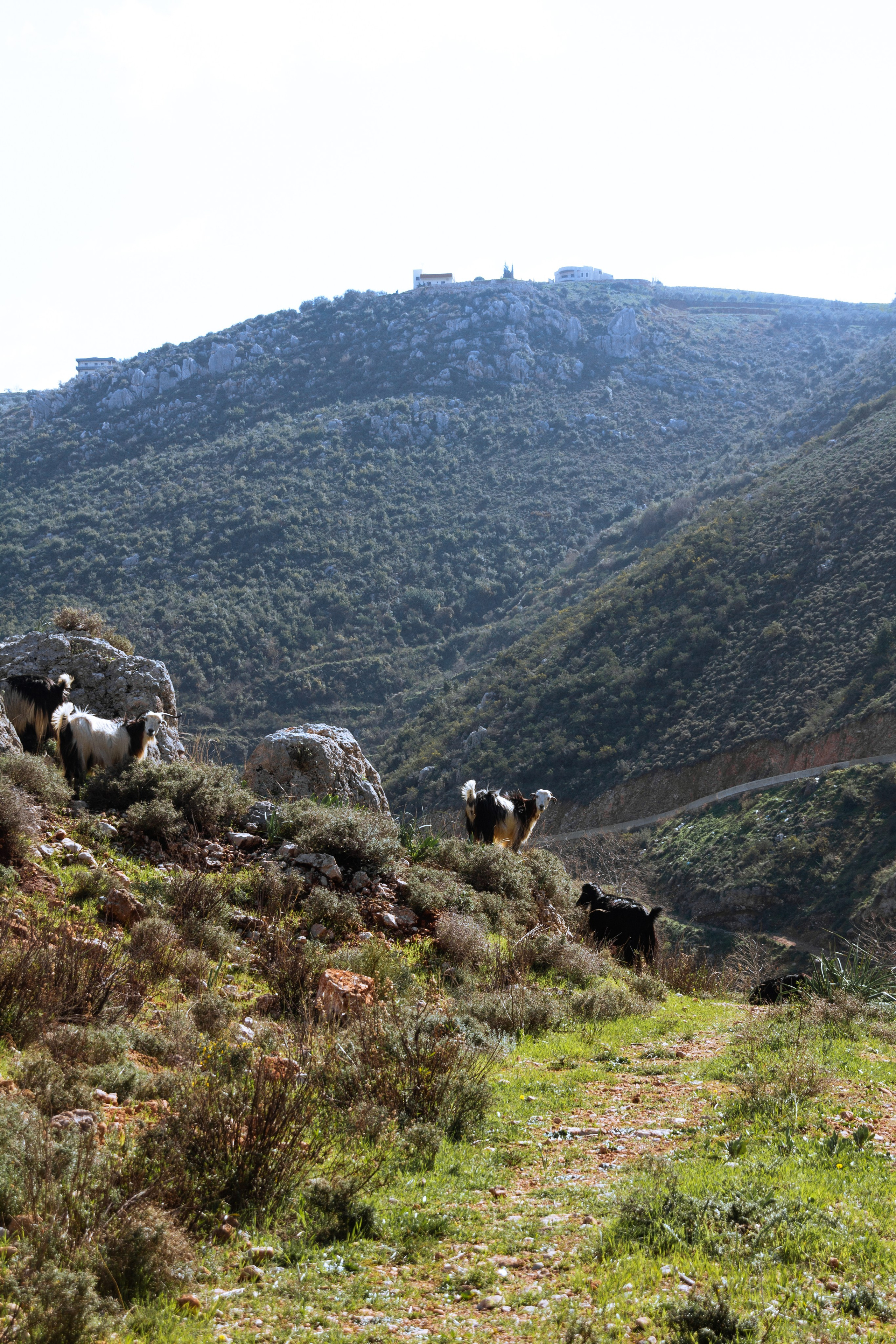 Природа. Фотограф Котий Даниил