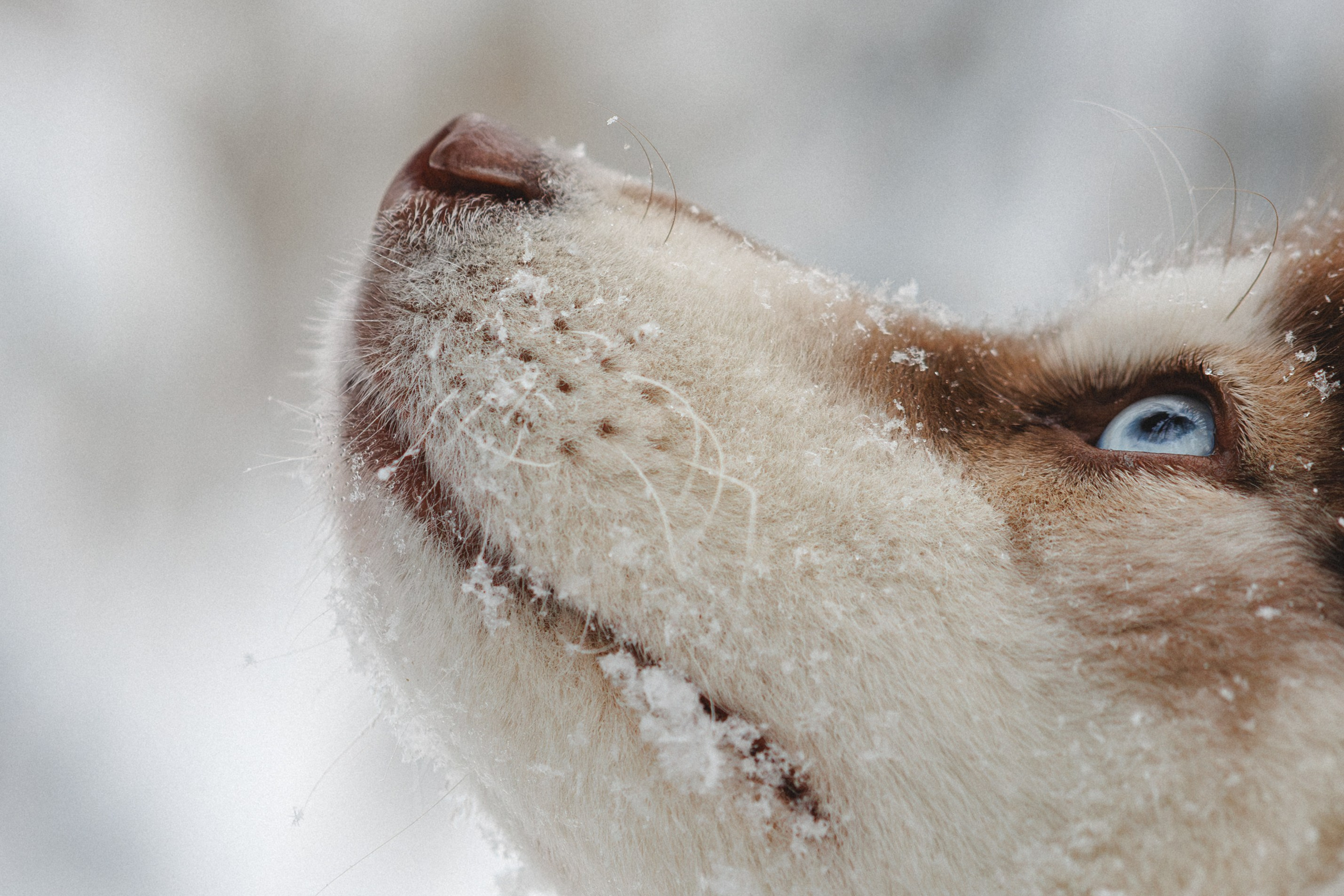 Полина и Миша. Фотограф в Санкт-Петербурге Алёна Губинская