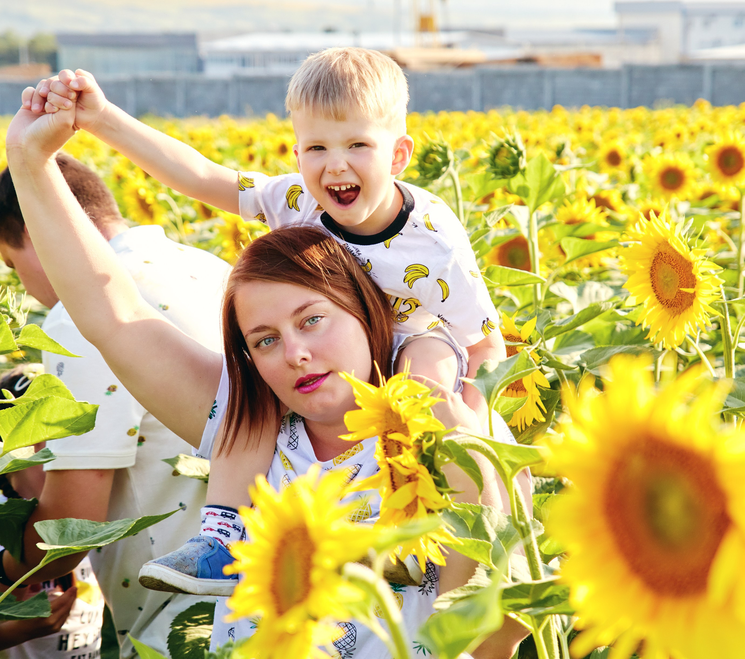 Семейная фотосессия в подсолнухах в Пятигорске. Фотограф и видеограф Антон Калашников | Пятигорск