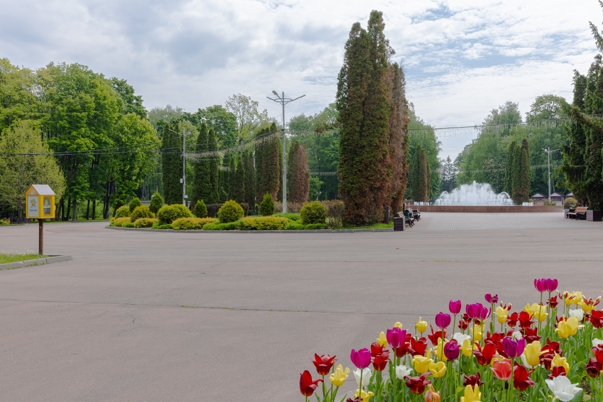 Парк им. П. П. Белоусова г. Тула 2024 г. Фотограф в Туле Крупский АнДРей. Фотостудия «КАДР71» в Туле