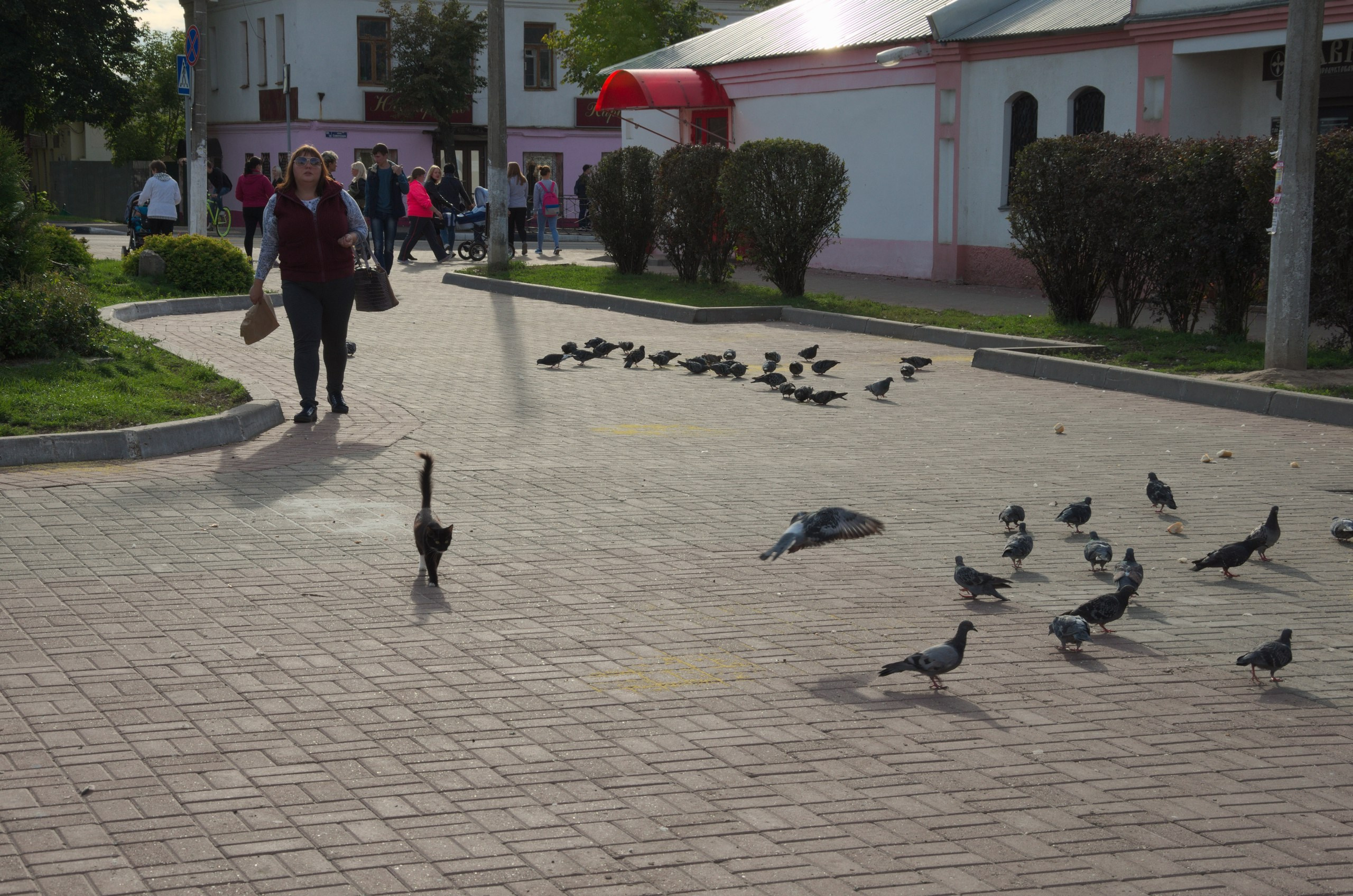 Егорьевск | 10.09.2016. Галерея Фантим