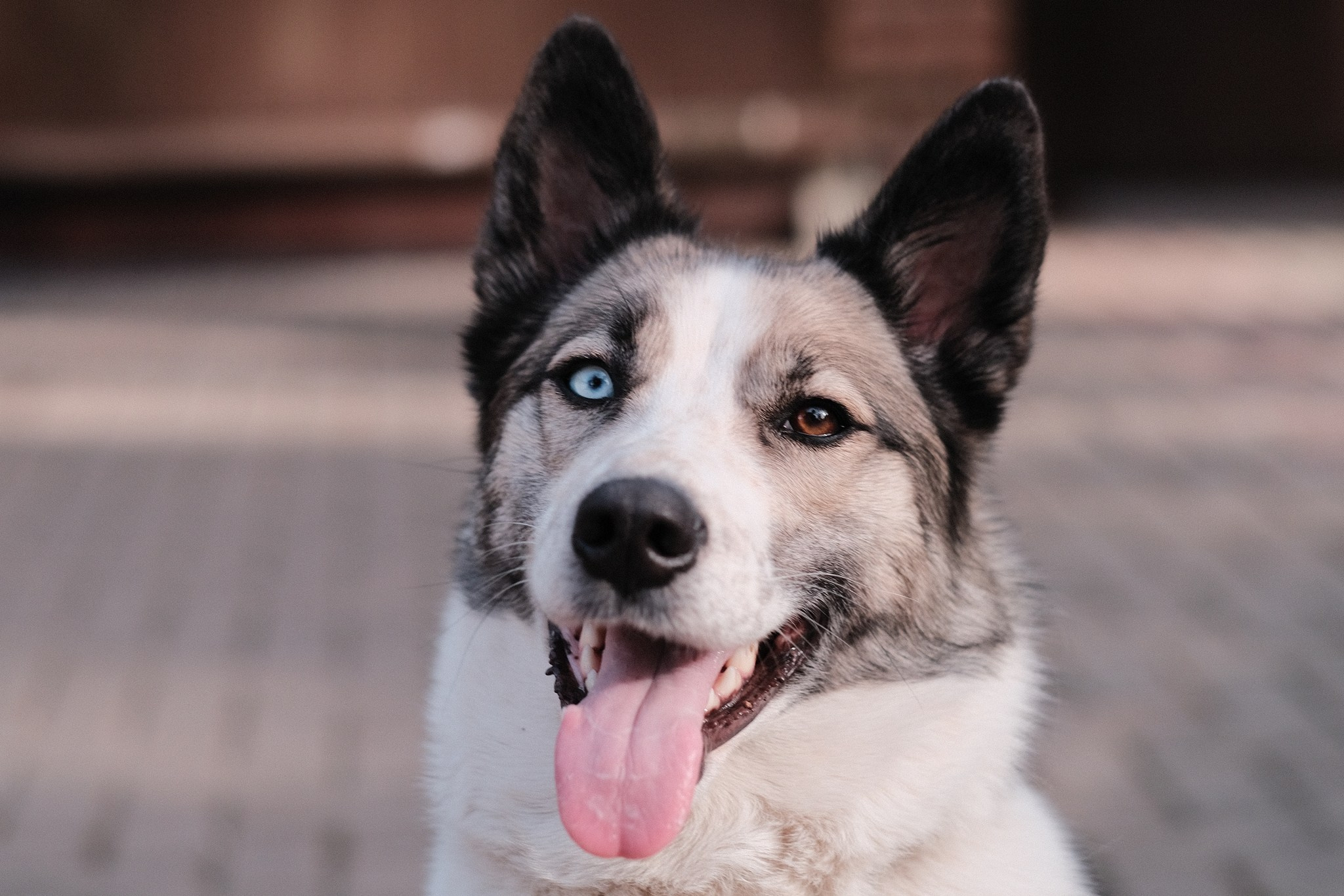 Аляска, Чарли, Пати и их люди. Дмитрий Бречалов